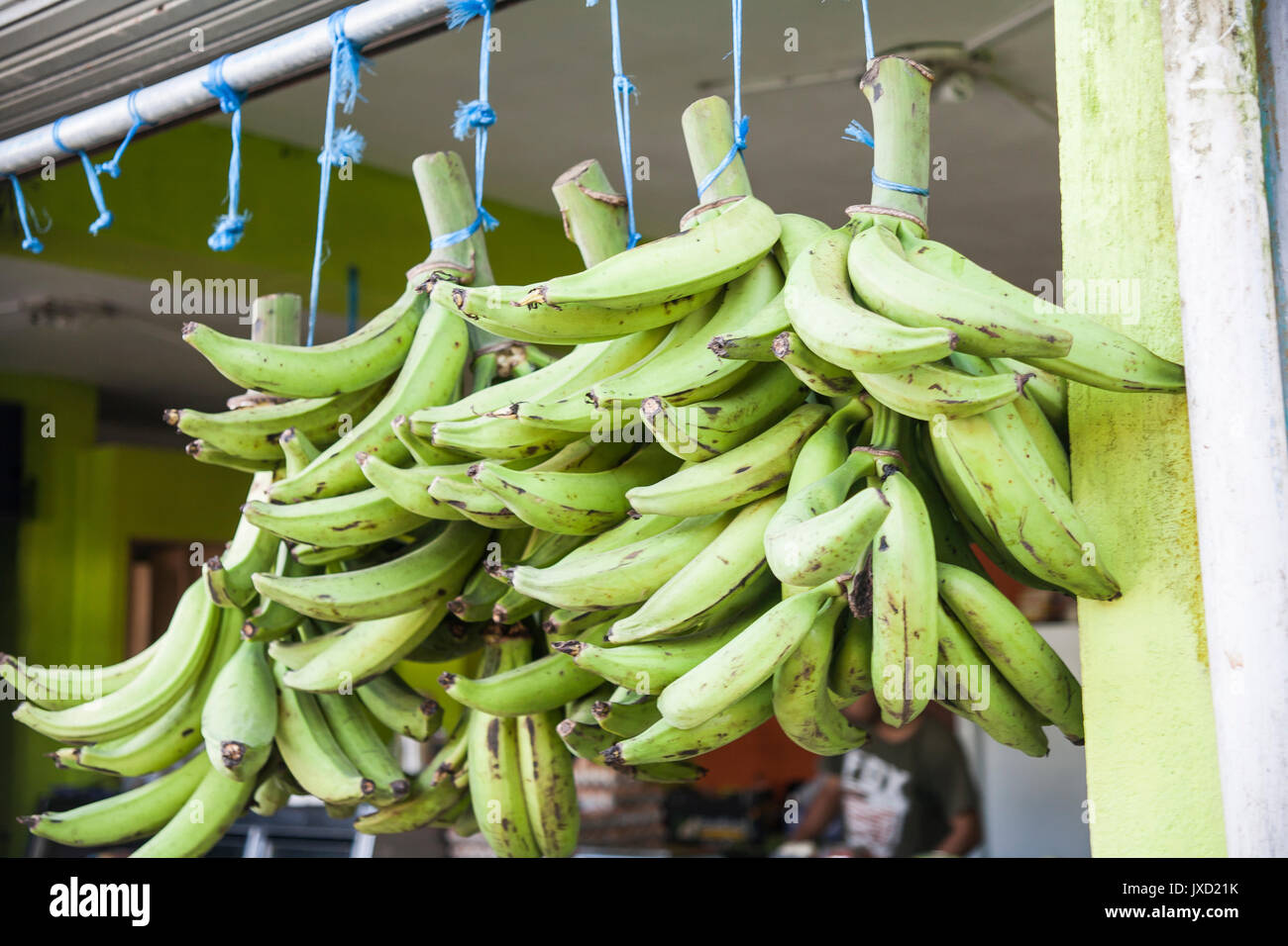 I Platani appeso in vendita in un mercato in un villaggio locale in Tortuguero in Costa Rica. Foto Stock