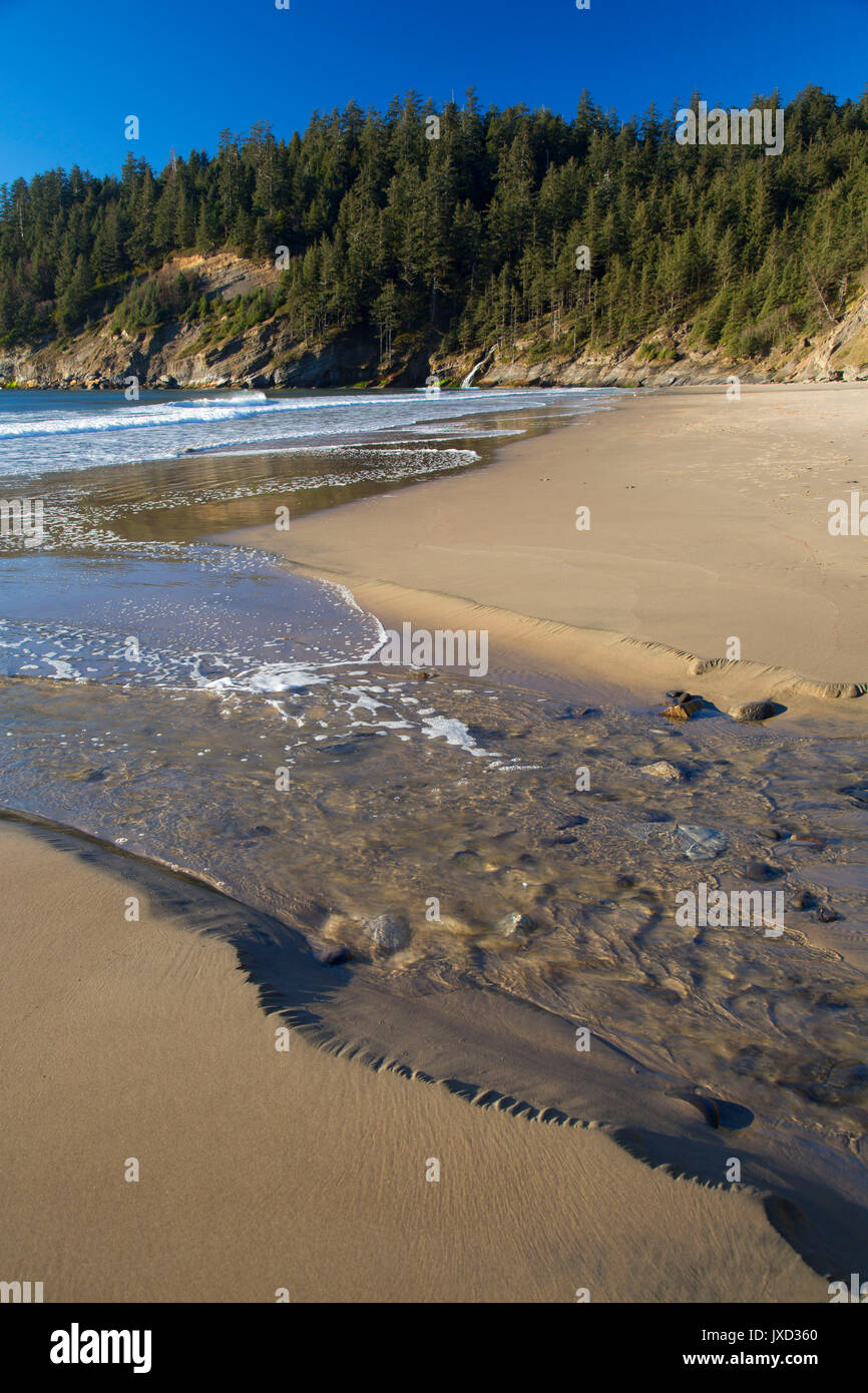 Breve spiaggia di sabbia, Oswald West State Park, Oregon Foto Stock