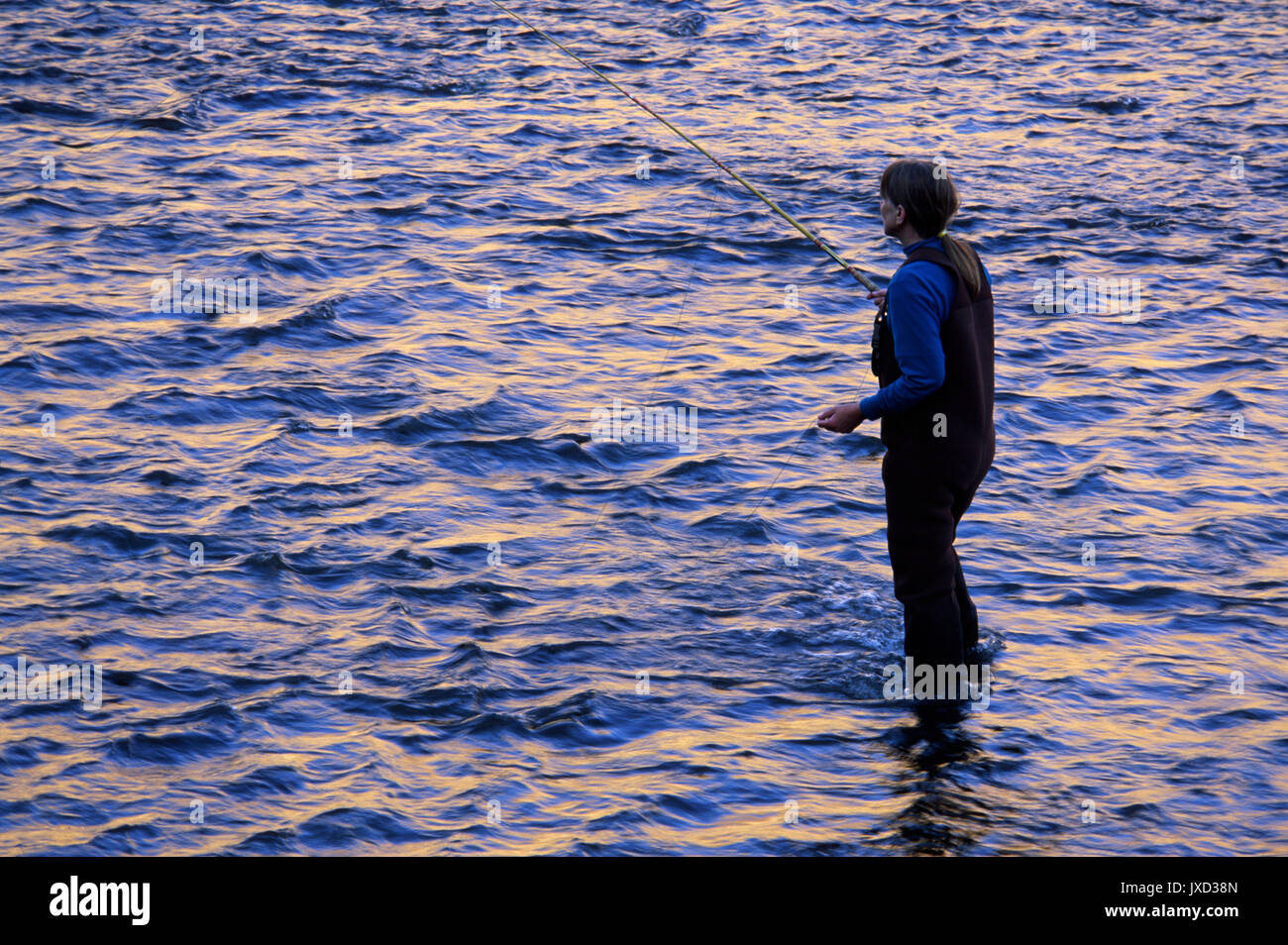 Pesca a mosca nel fiume Yakima, Yakima River Canyon Scenic e autostrada ricreative, Washington Foto Stock