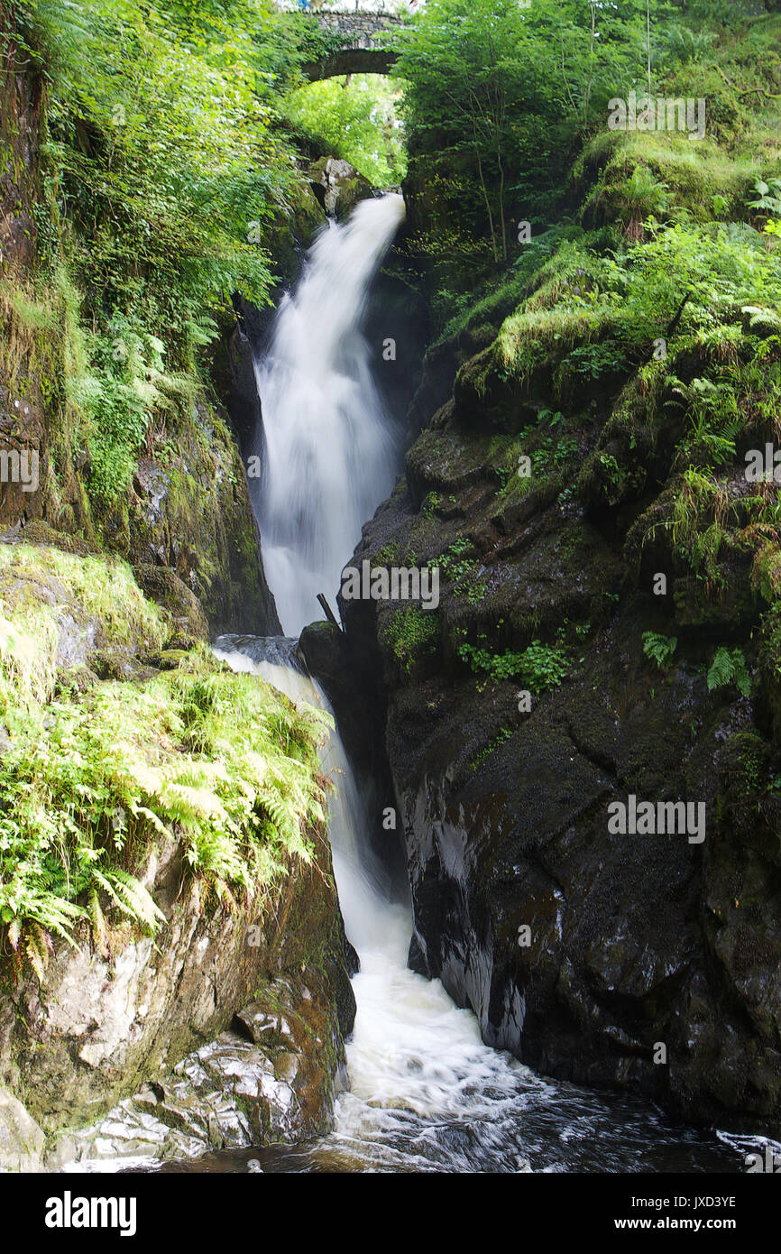 Aira Force cascata, Lake District Foto Stock