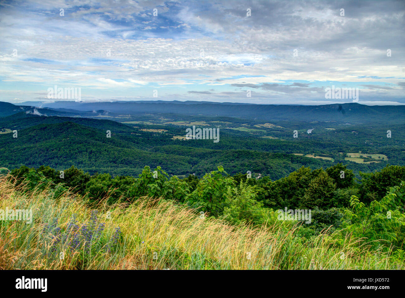 Vista dalla Shenandoah Parkway frumento e il fiume Foto Stock