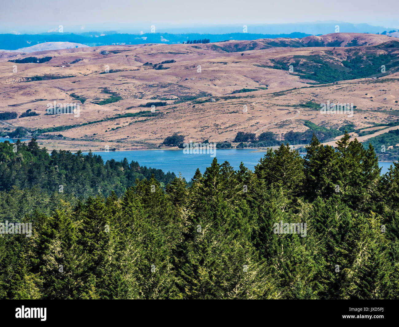 Tomales bay da horse trail, pt reyes National Seashore, ca us Foto Stock