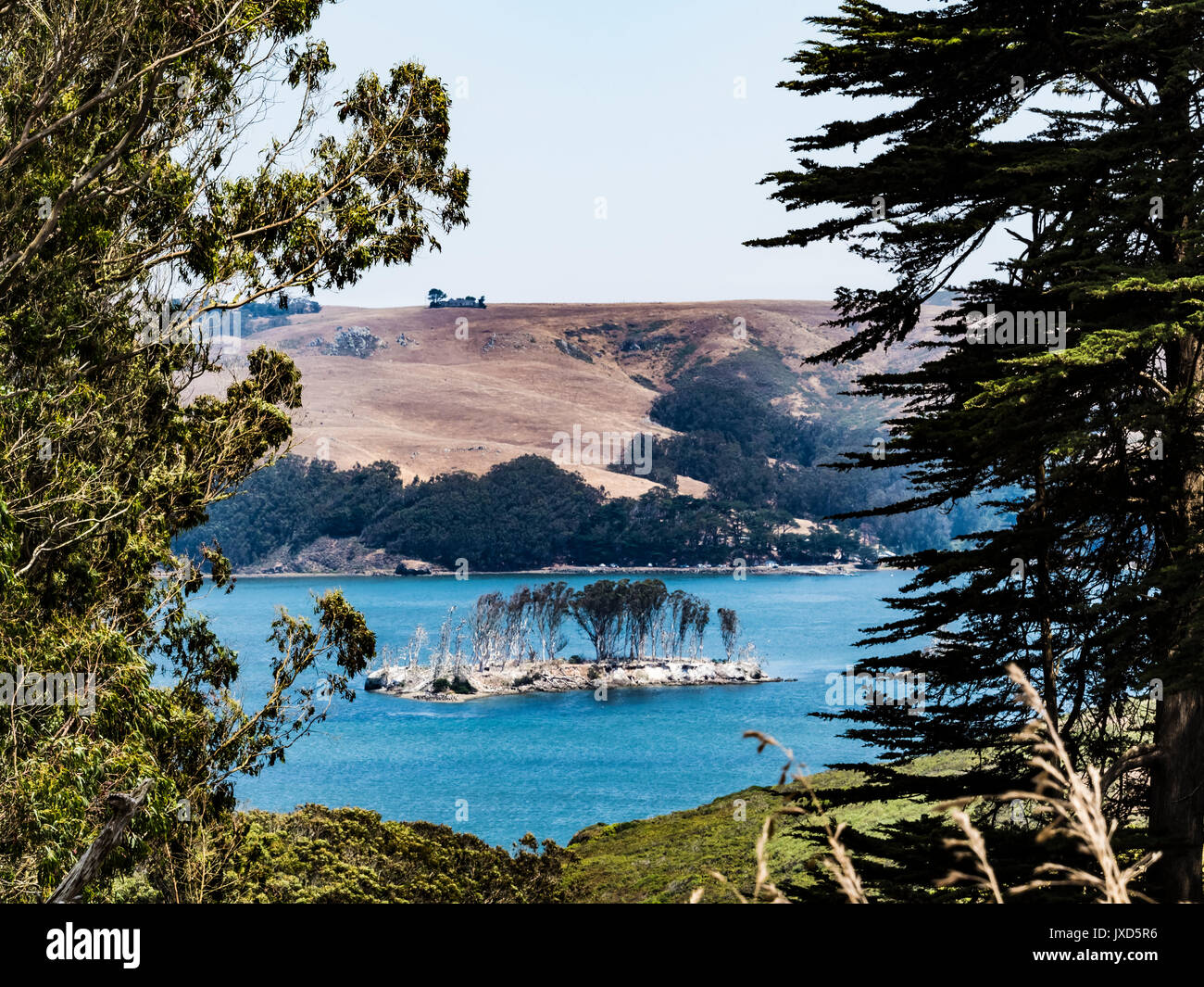 Isola nella baia di tomales, pt reyes National Seashore, ca us Foto Stock