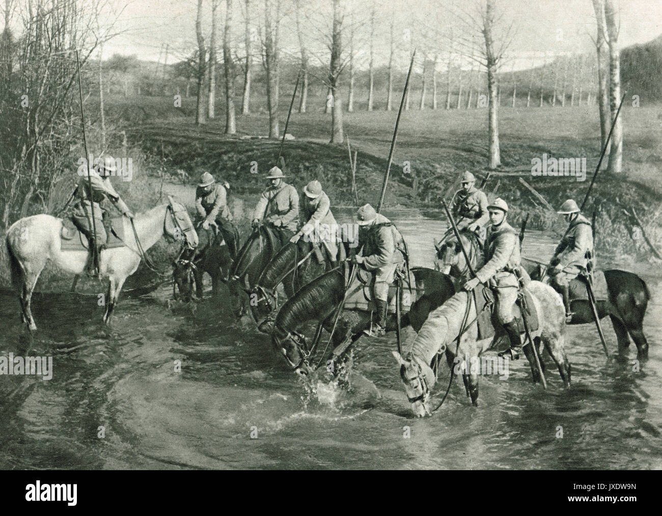 La cavalleria francese cavalli di irrigazione, WW1 Foto Stock