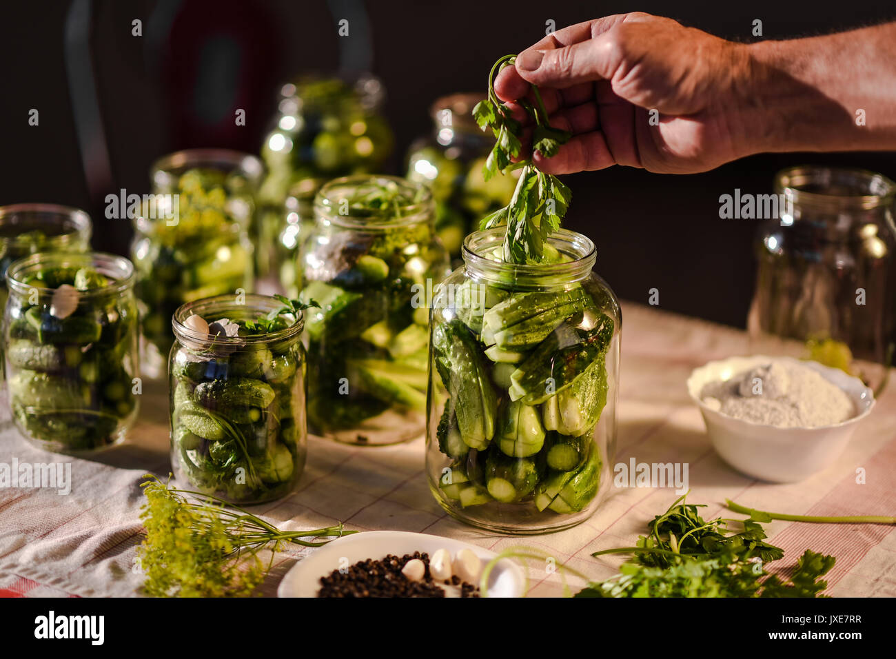 Il processo di preparazione di salato cetrioli destinati all'industria conserviera Foto Stock