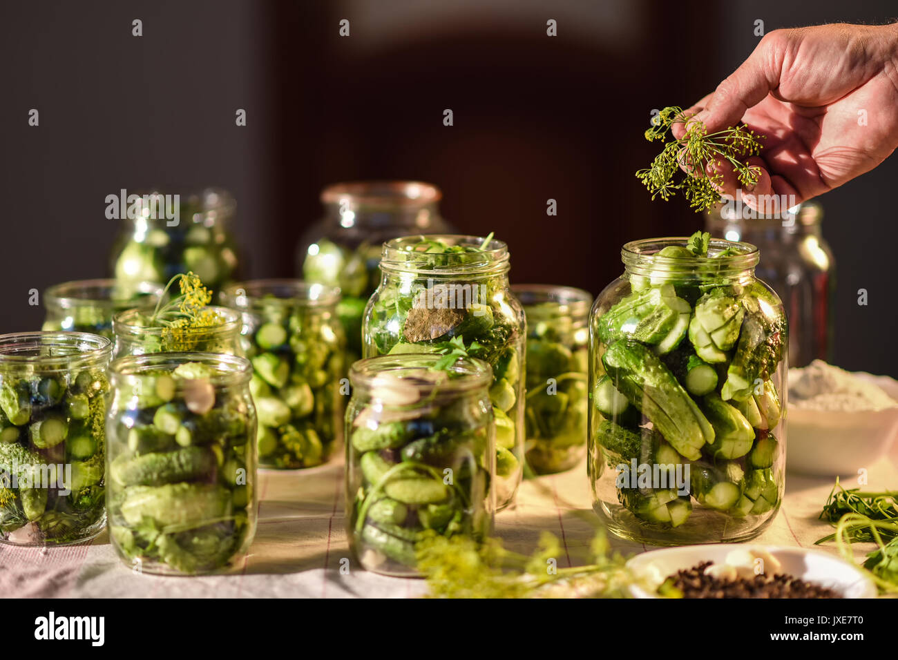 Il processo di preparazione di salato cetrioli destinati all'industria conserviera Foto Stock