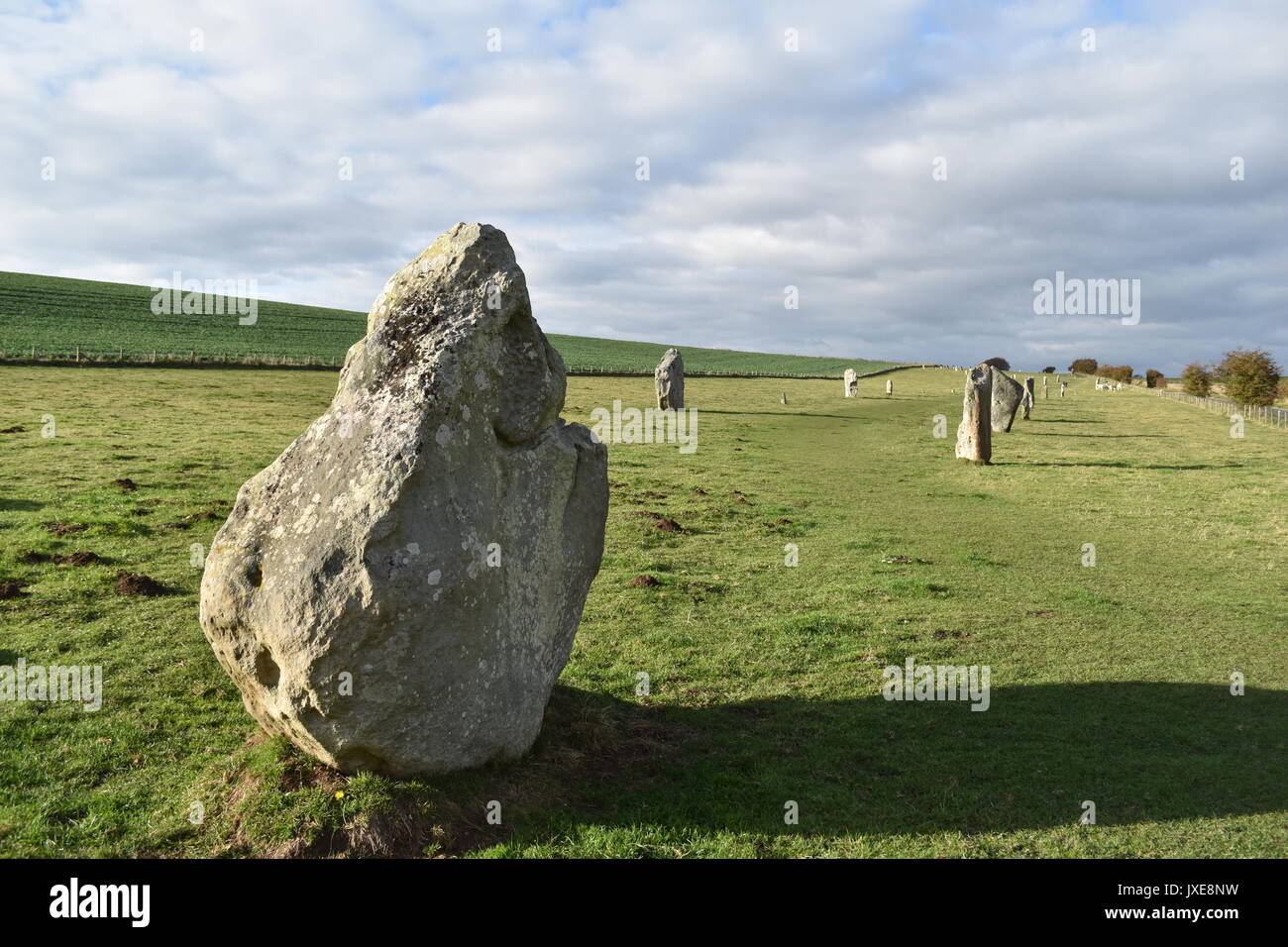 Neolitico antico di Avebury pietre permanente Wiltshire, Inghilterra REGNO UNITO Foto Stock