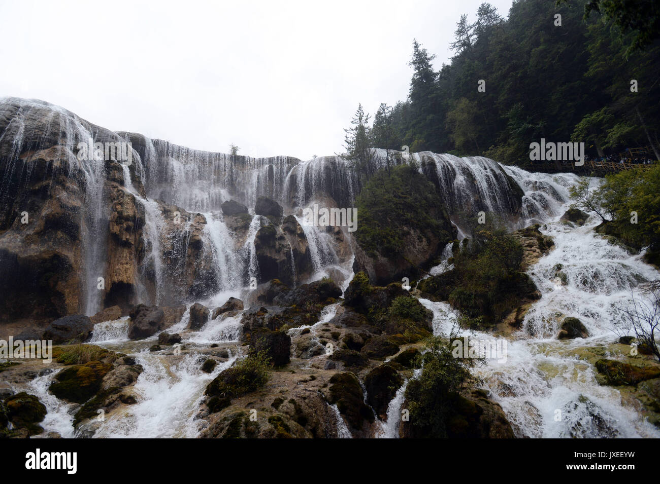 Agosto 15, 2017 - 'Ã"Â Â¨Â°Â¢Â°' Â¾Ã… Â¯Â¹Â, 'Ã"Â Â¨Â°Â¢Â°' Â¾Ã… Â¯Â¹Â, CINA - Sichuan, in Cina (solo uso editoriale. Cina OUT) .Pearl Shoal cascata è una cascata che si trova in Jiuzhaigou, Aba-Ngawa tibetano e Qiang prefettura autonoma nel nord della provincia di Sichuan, in Cina. La cascata esiste su uno dei tributari del fiume Bailong. Situato ad un altitudine di 2,433 metri (7,982 ft), la parte superiore della cascata è 162,5 metri (533 ft) in larghezza. Si ha una caduta di 40 metri (130 ft). Il terremoto ha colpito Jiuzhaigou Scenic Area su agosto8th, 2017, colpendo un sacco di punti panoramici tra cui pe Foto Stock