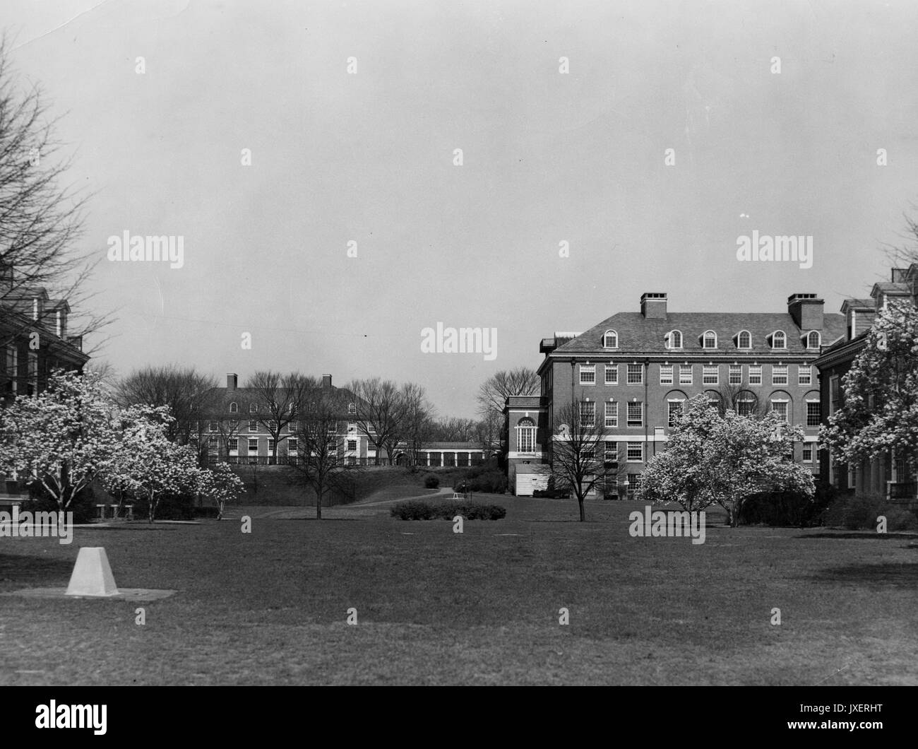 Edifici generale, Homewood, Mergenthaler Hall, Rowland Hall generale vista dal basso quad, compresi Mergenthaler e Rowland sale, 1950. Foto Stock