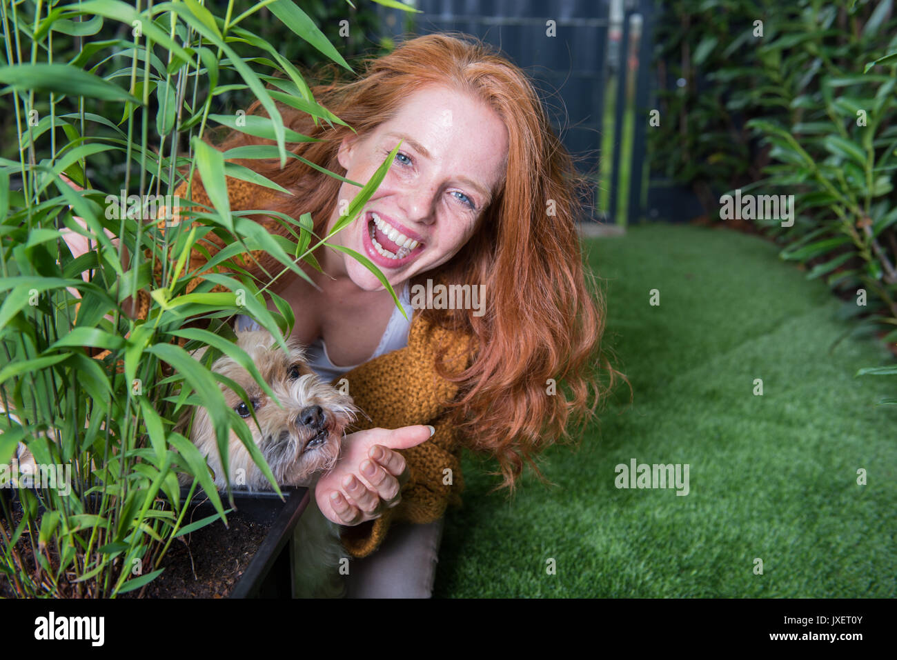Bellissimi i capelli rossi donna gioca con il suo cane in giardino Foto Stock