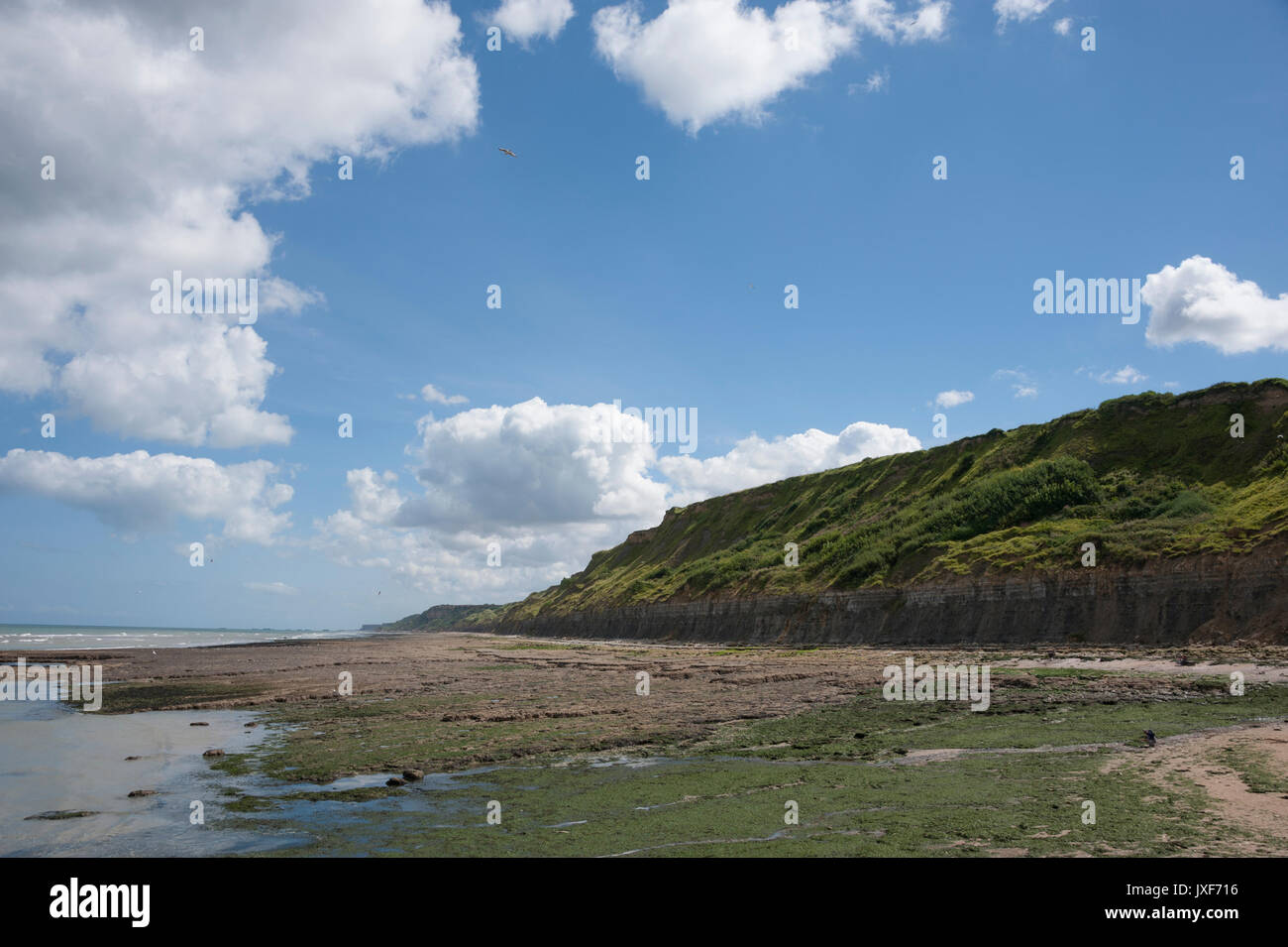 Scogliere a Port-en-Bessin-huppain, Normandia, Francia Foto Stock