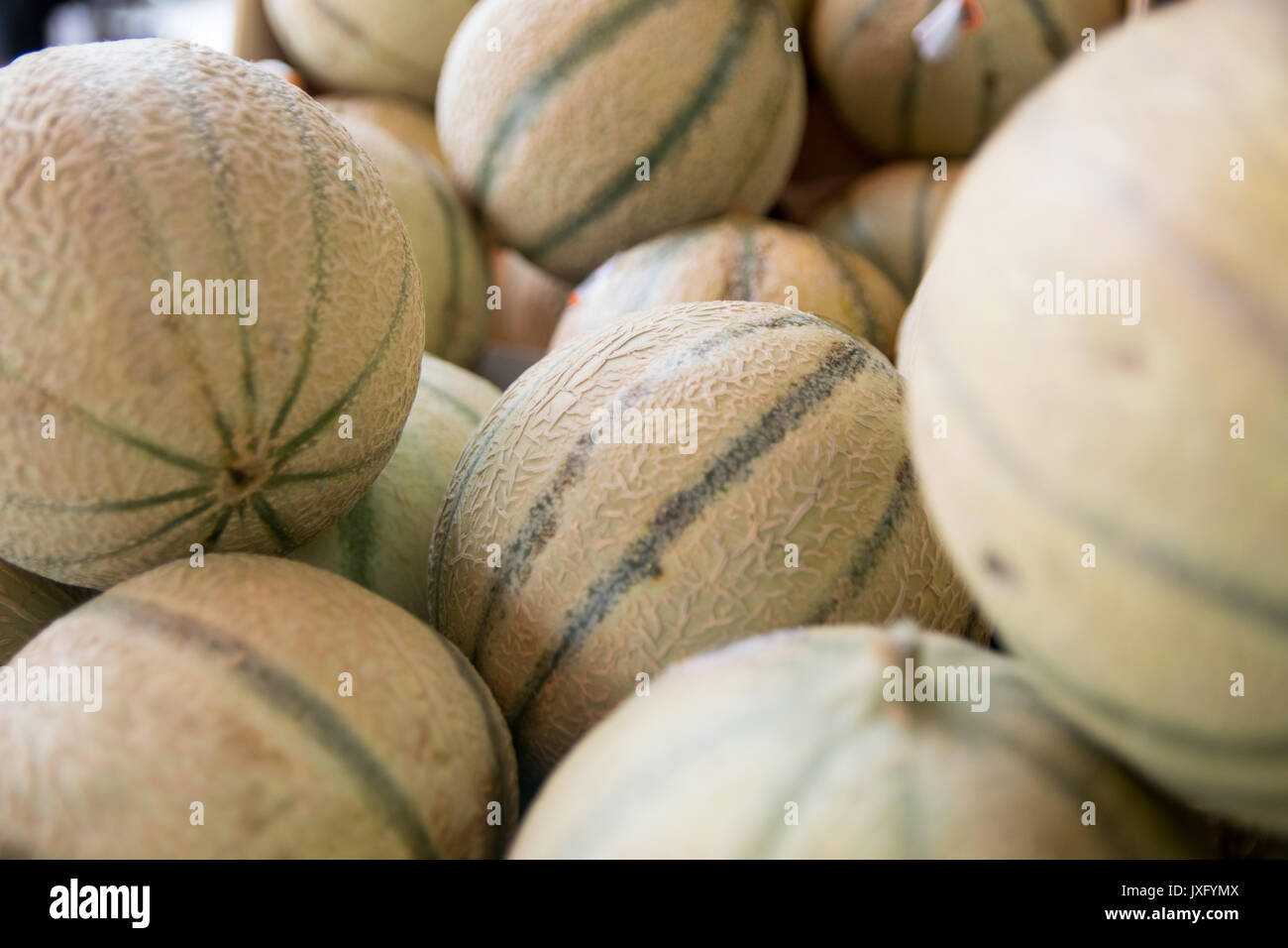 Meloni maturi appena prelevato per la vendita dal negozio di alimentari Foto Stock