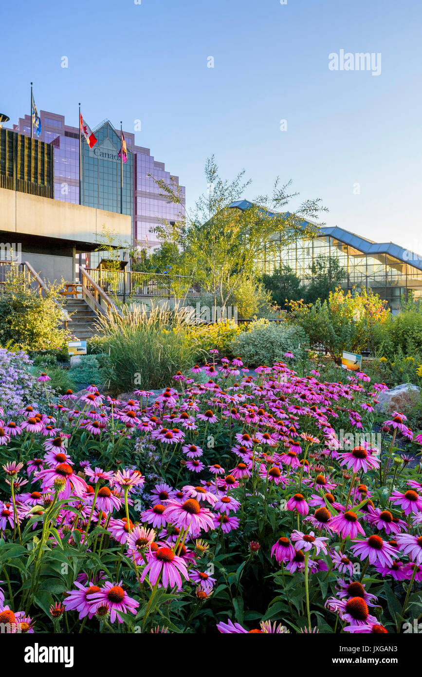 Medicina di comunità giardino ruota alla Shaw Conference Centre di Edmonton, Alberta, Canada Foto Stock