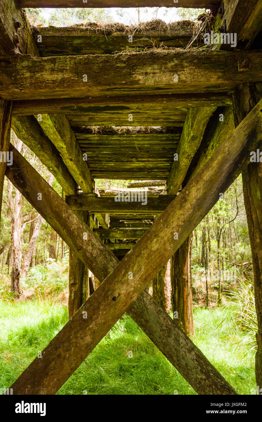 Vecchio legname in disuso il ponte ferroviario in bushland vicino a Daylesford, Victoria, Australia Foto Stock