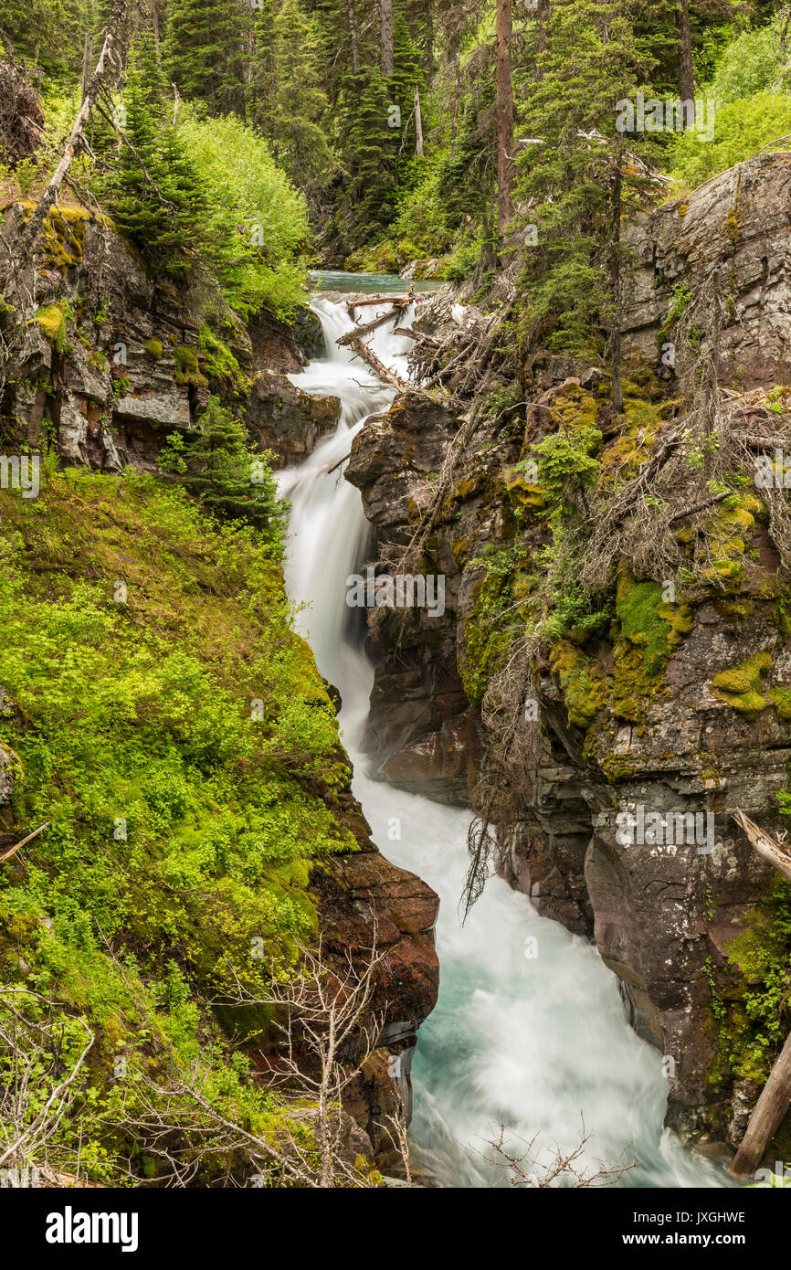 La cataratta Creek immerge attraverso una gola a cascate nascoste nei pressi di Grinnell Lake nel Parco Nazionale di Glacier, Montana Foto Stock