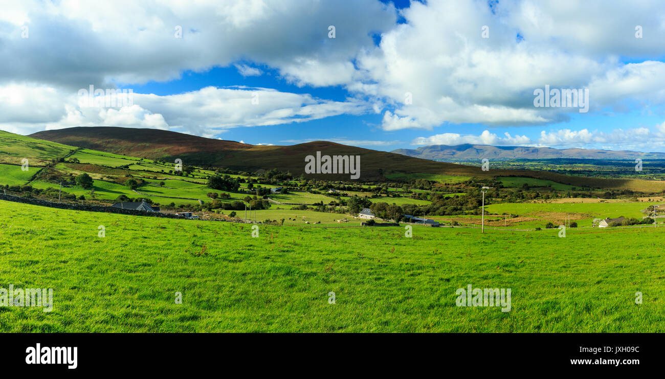 Campi di verde sulle colline pedemontane del MacGillycuddy Reeks nella Contea di Kerry, Irlanda mostra il Slieve Mish mountain range all'orizzonte Foto Stock