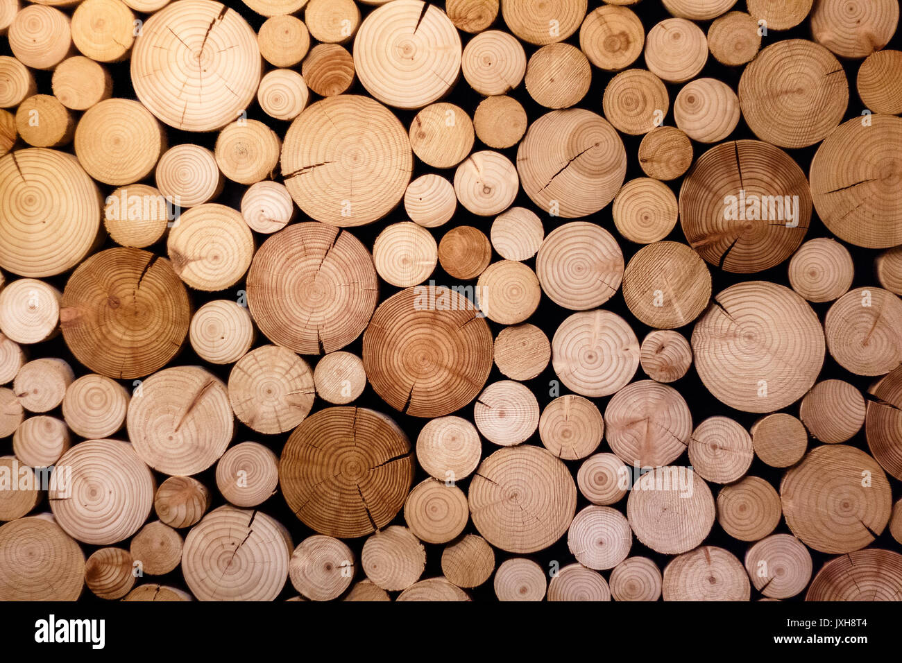 Una sezione trasversale di log per l'industria del legno Foto Stock