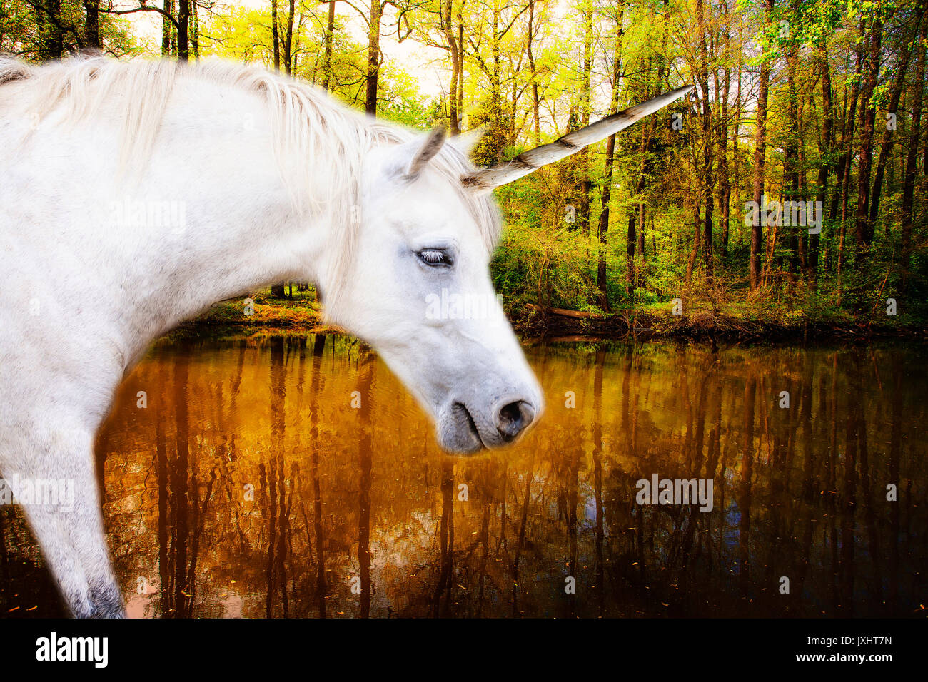 Unicorn pronto per bere acqua naturale da deep forest Foto Stock