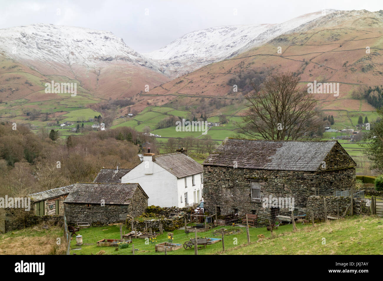 Lakeland tradizionale agriturismo vicino a Ambleside, Parco Nazionale del Distretto dei Laghi, Cumbria, England, Regno Unito Foto Stock