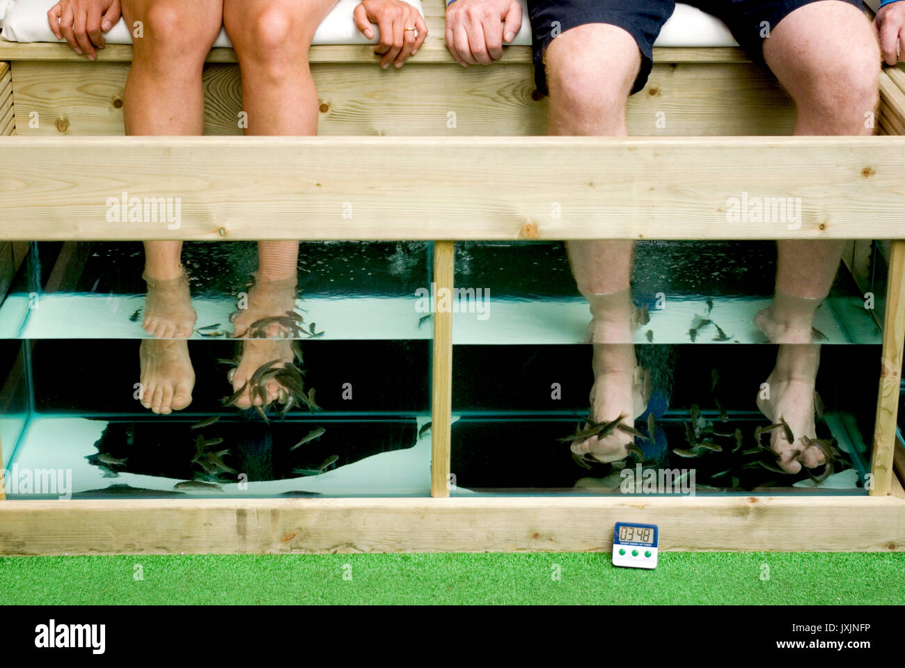 Garra Rufa Foto Stock