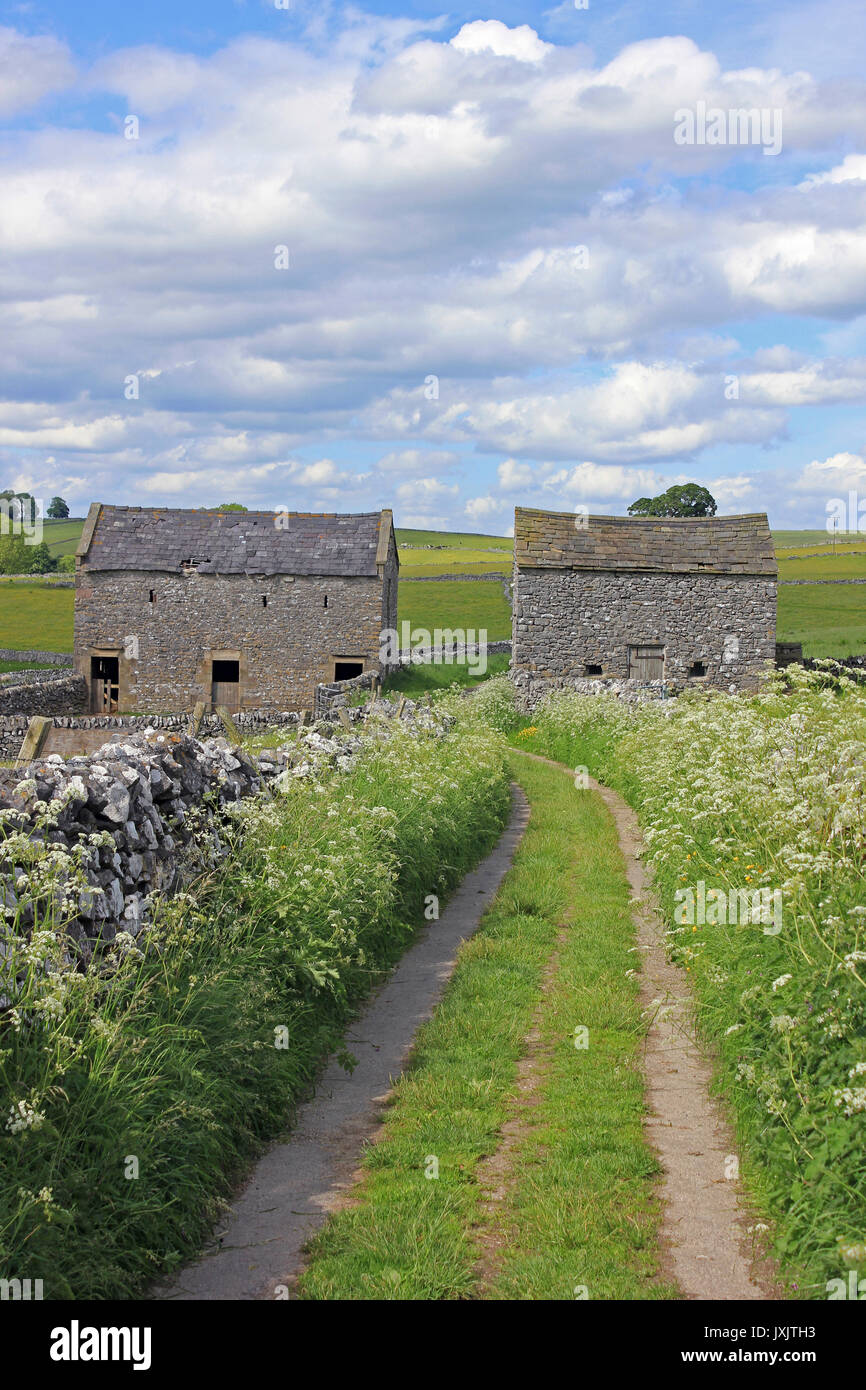 Coppia di fienili in pietra, nr Hartington, Derbyshire, Regno Unito Foto Stock