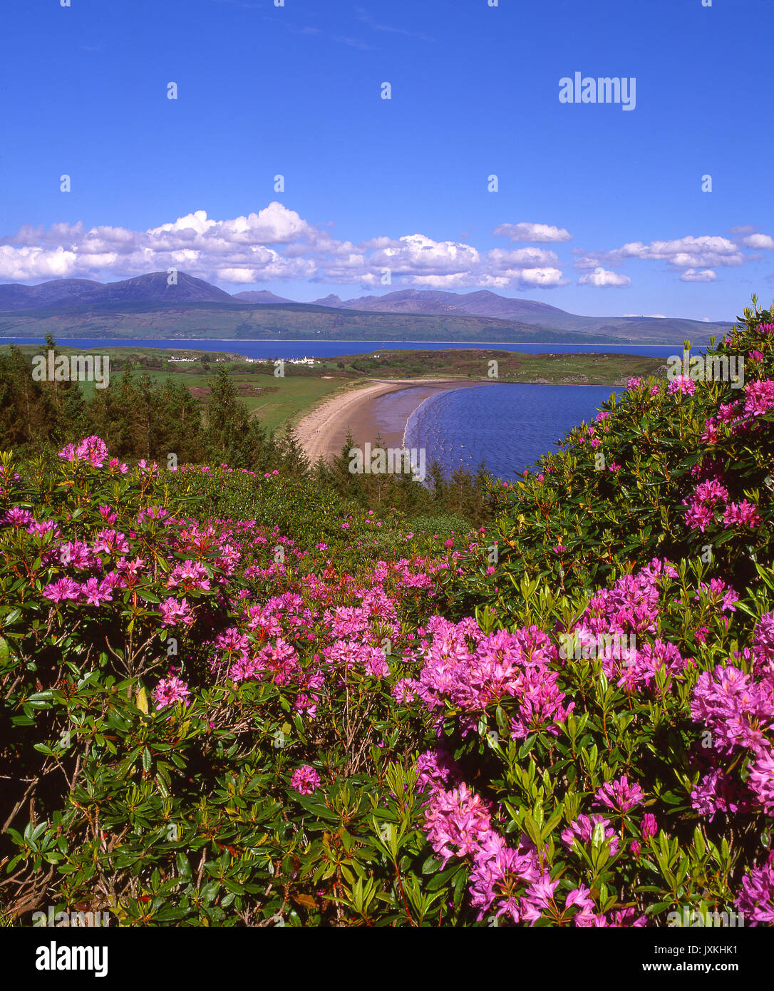 Vista colorate attraverso Carradale baia verso l'isola di Arran, Kintyre, Argyll Foto Stock