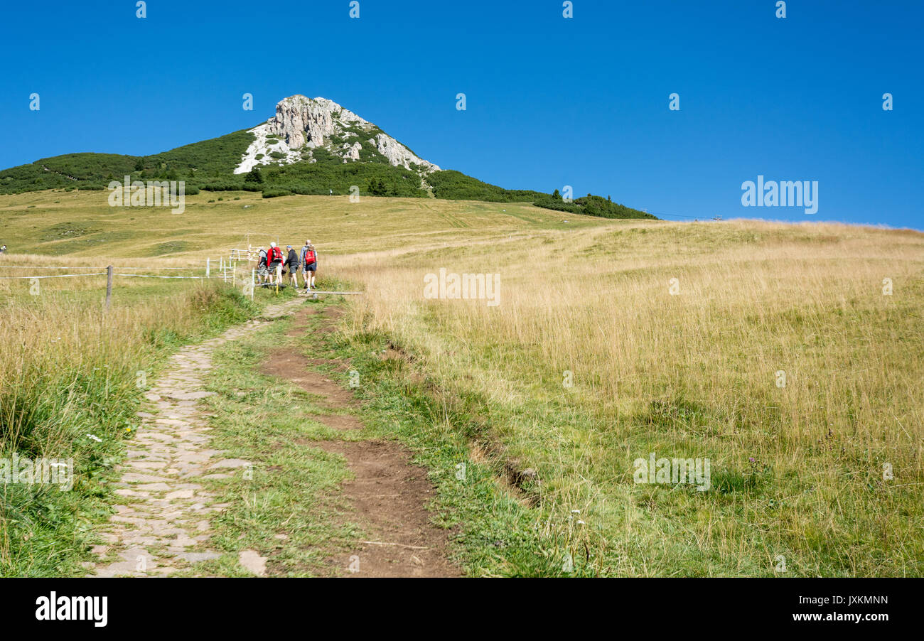 I viaggiatori trekking a basso picco di picco del bianco in montagna Dolomiti, Alto Adige, Italia settentrionale Foto Stock