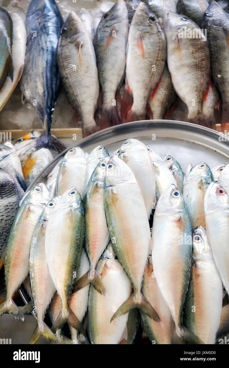 Pesce di mare appena pescato al mercato del pesce, la profondità di campo. Foto Stock