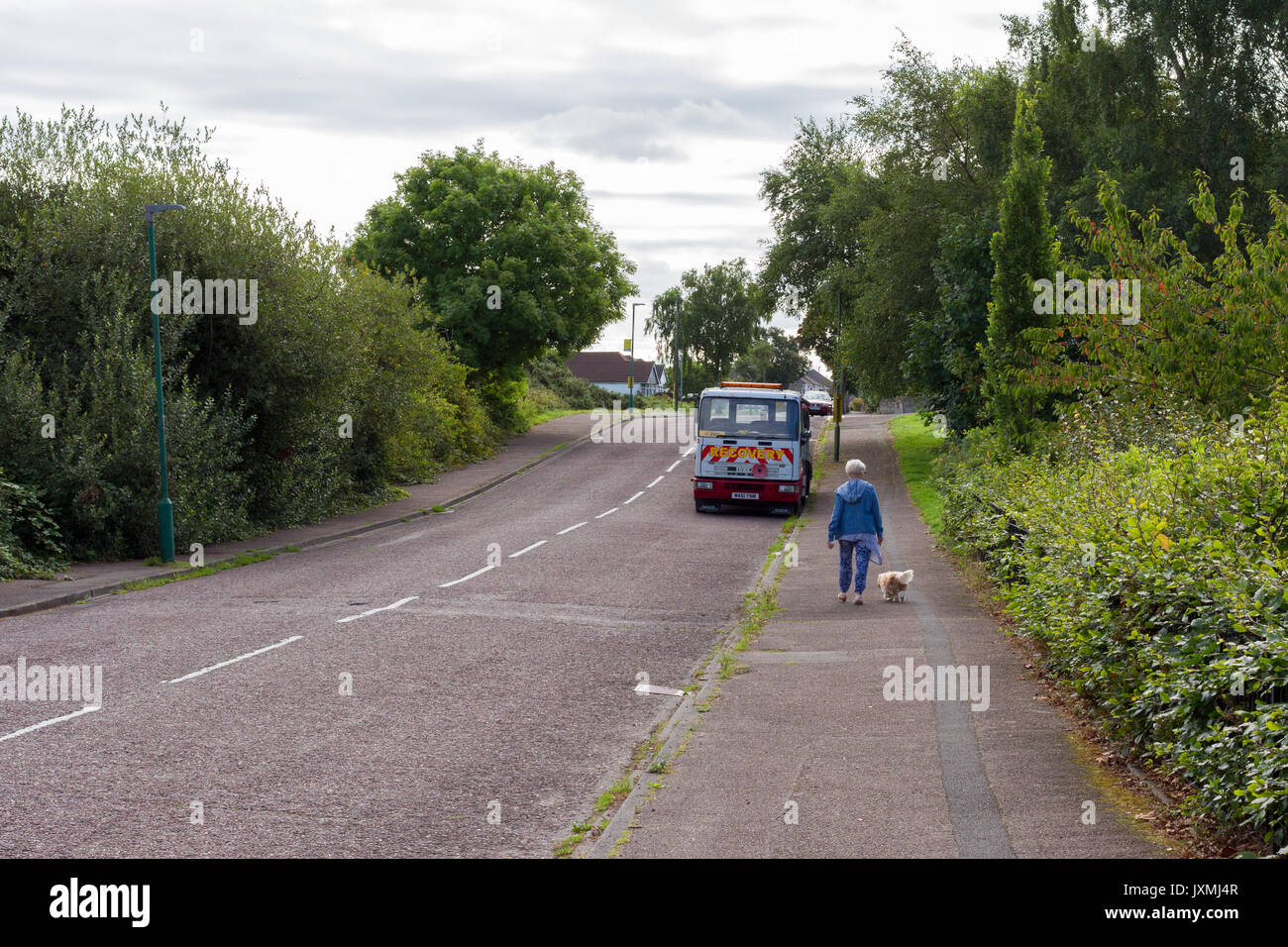 Donna che cammina con il cane al guinzaglio lungo una strada, Dorset, Regno Unito Foto Stock