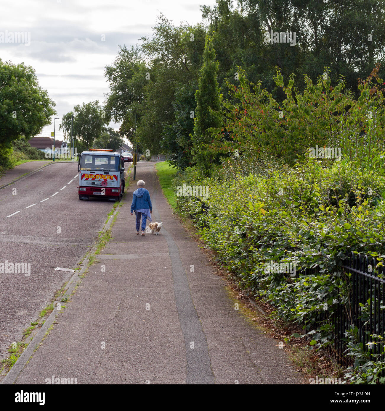 La donna a piedi un cane Foto Stock