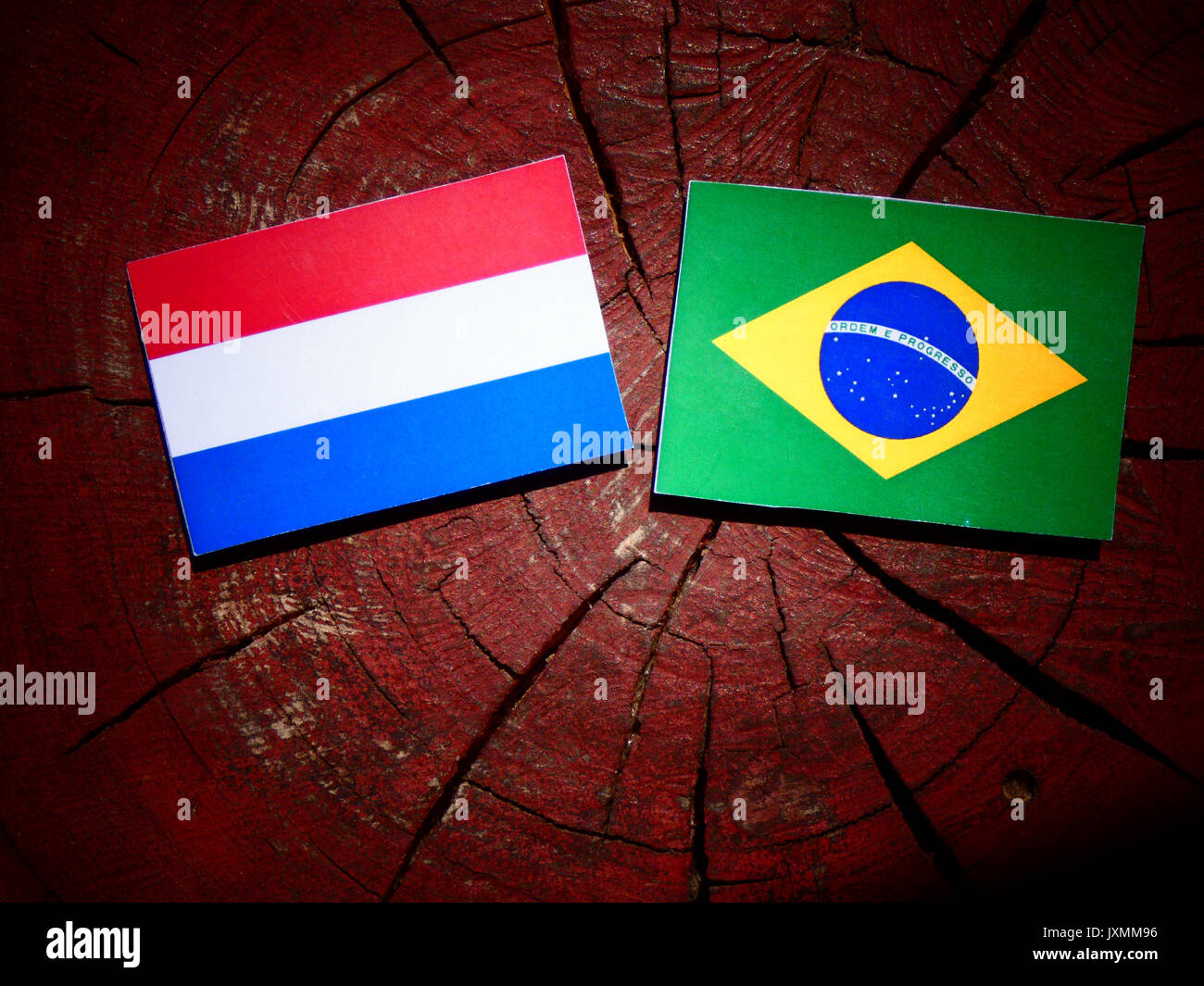 Bandiera olandese con bandiera brasiliana su un ceppo di albero isolato Foto Stock