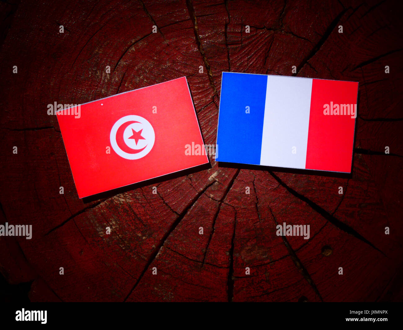 Bandiera tunisina con bandiera francese su un ceppo di albero isolato Foto Stock