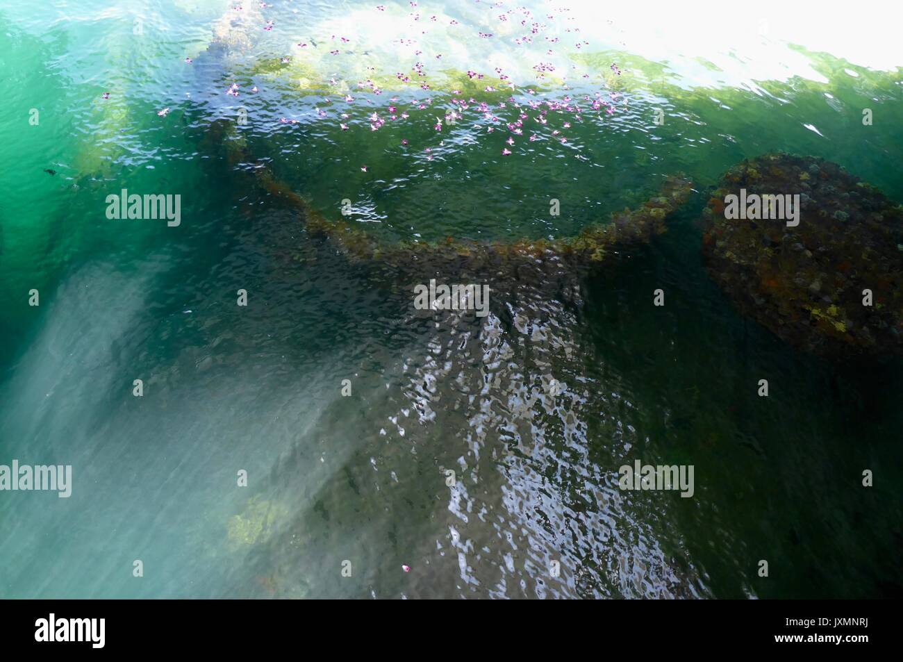 Sfumature di USS Arizona Foto Stock