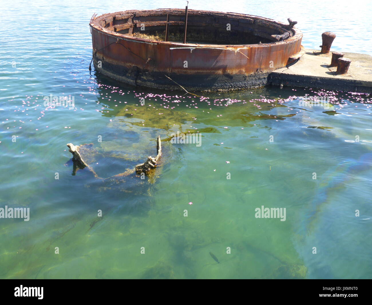 Lacrime nere della USS Arizona Foto Stock