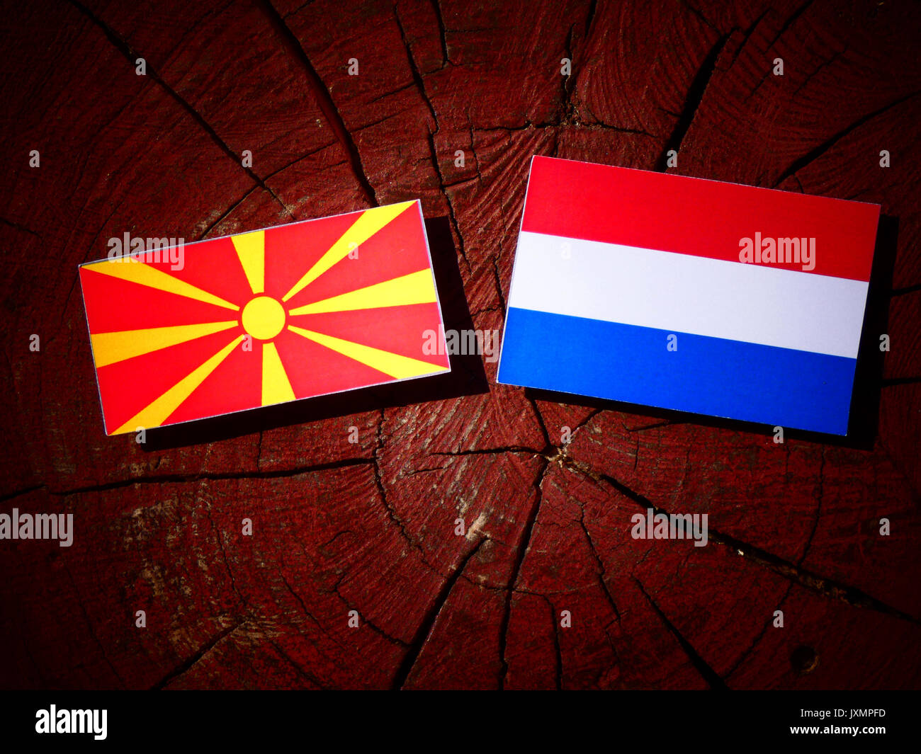 Bandiera macedone con bandiera olandese su un ceppo di albero isolato Foto Stock