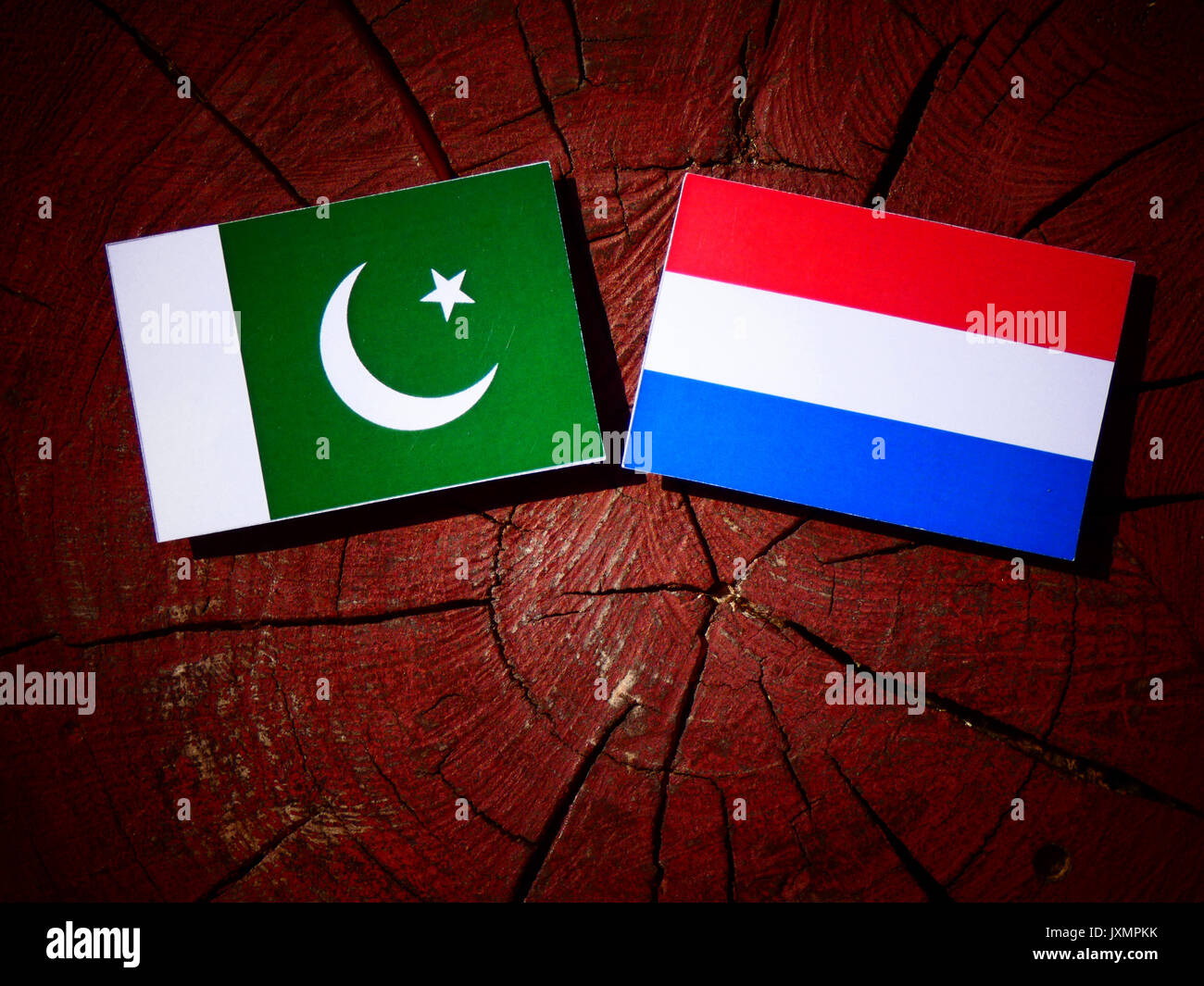 Il Pakistan bandiera con bandiera olandese su un ceppo di albero isolato Foto Stock