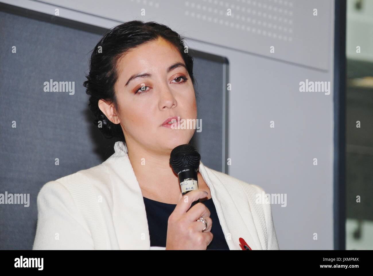 Sarah Owen, candidato parlamentare del partito laburista per Hastings e Rye, interviene in una riunione sulla politica energetica tenutasi a Hastings, in Inghilterra, il 10 novembre 2014. Foto Stock