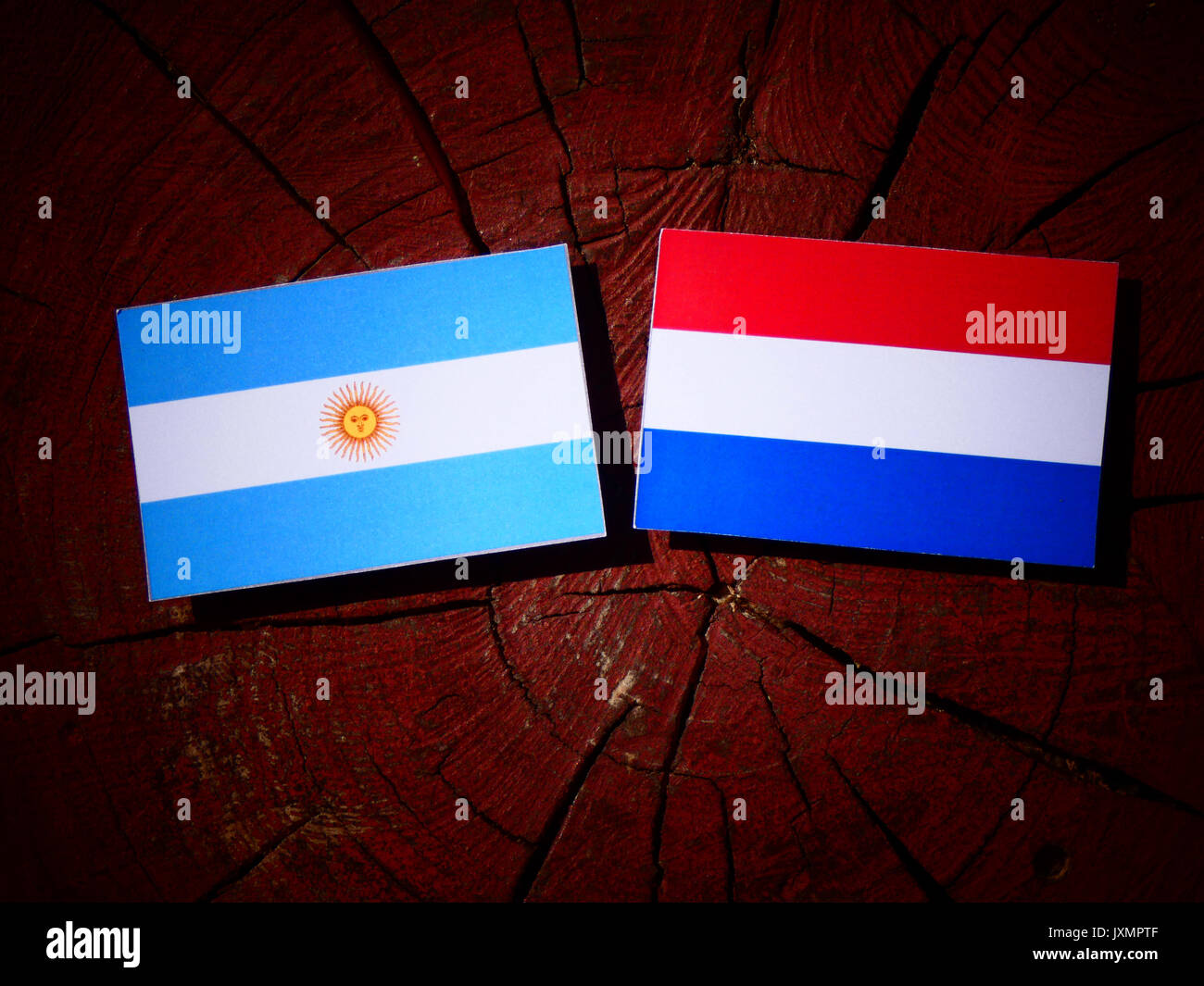 Bandiera argentina con bandiera olandese su un ceppo di albero isolato Foto Stock