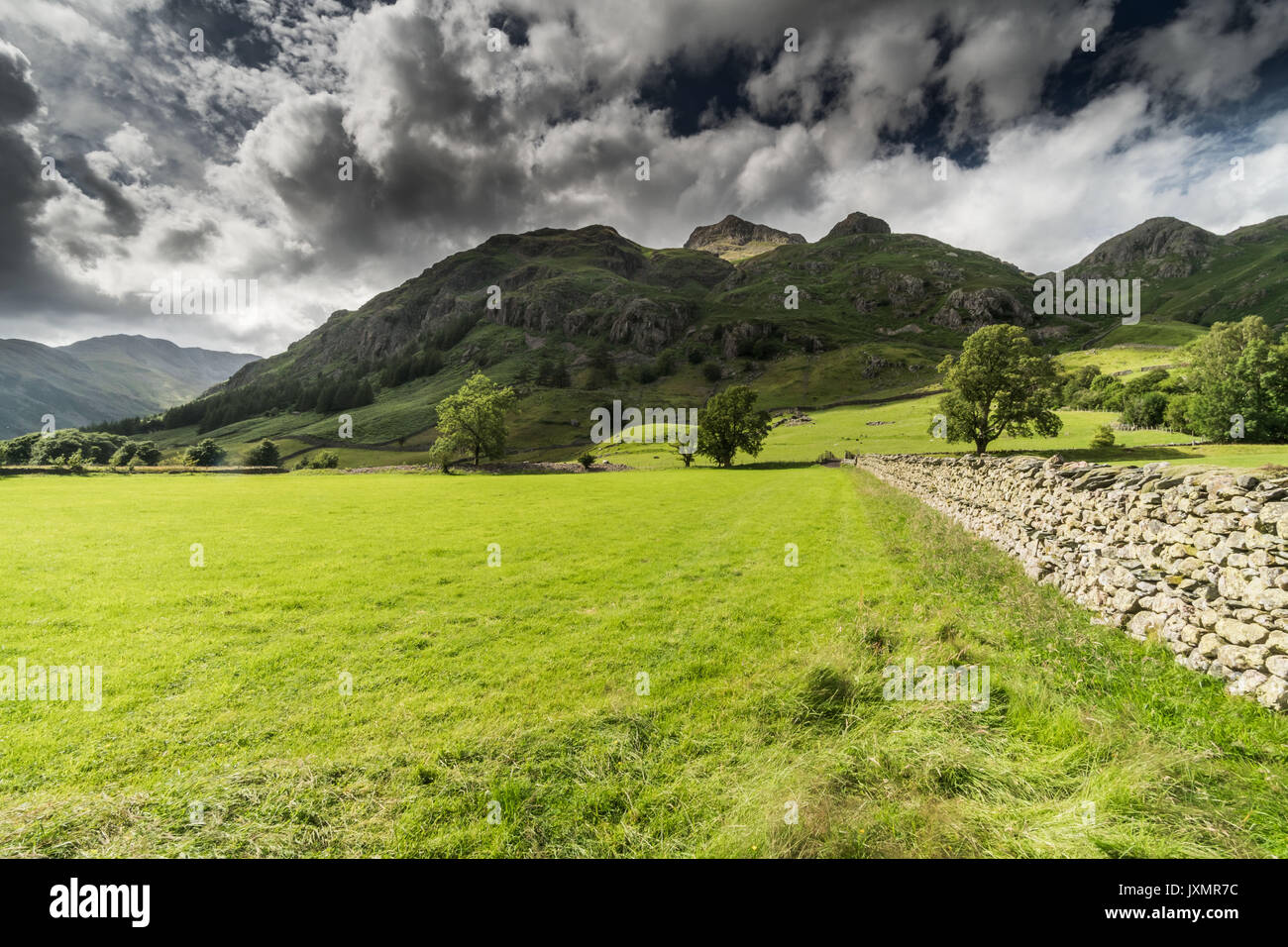 Langdale Pikes, Lake District inglese Foto Stock