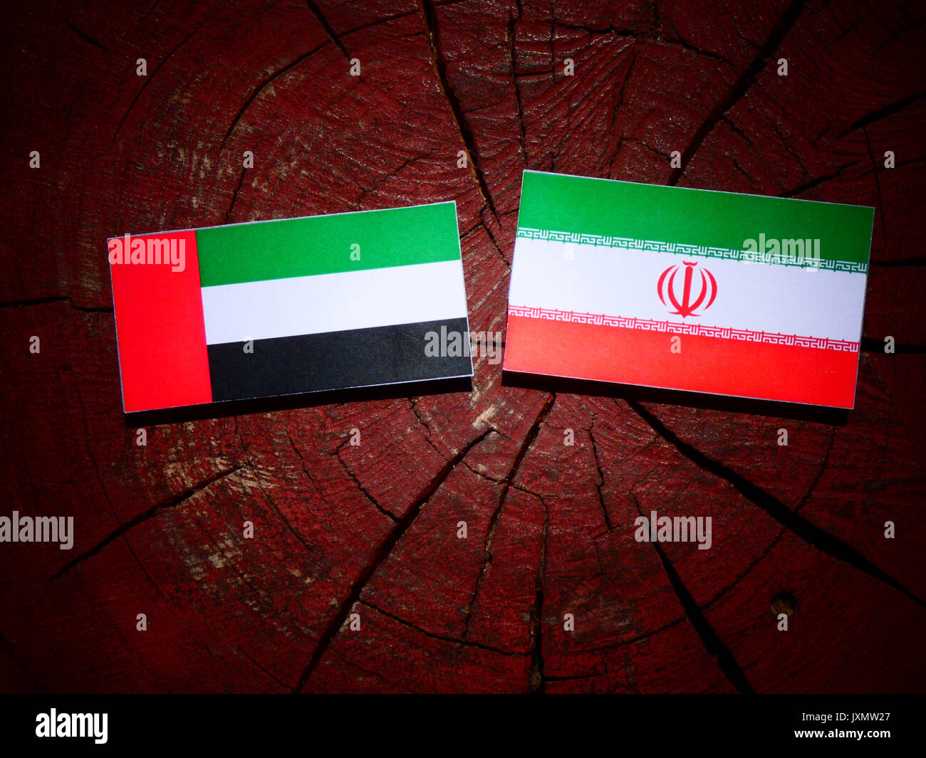 Bandiera degli Emirati Arabi Uniti con bandiera iraniana su un ceppo di albero isolato Foto Stock
