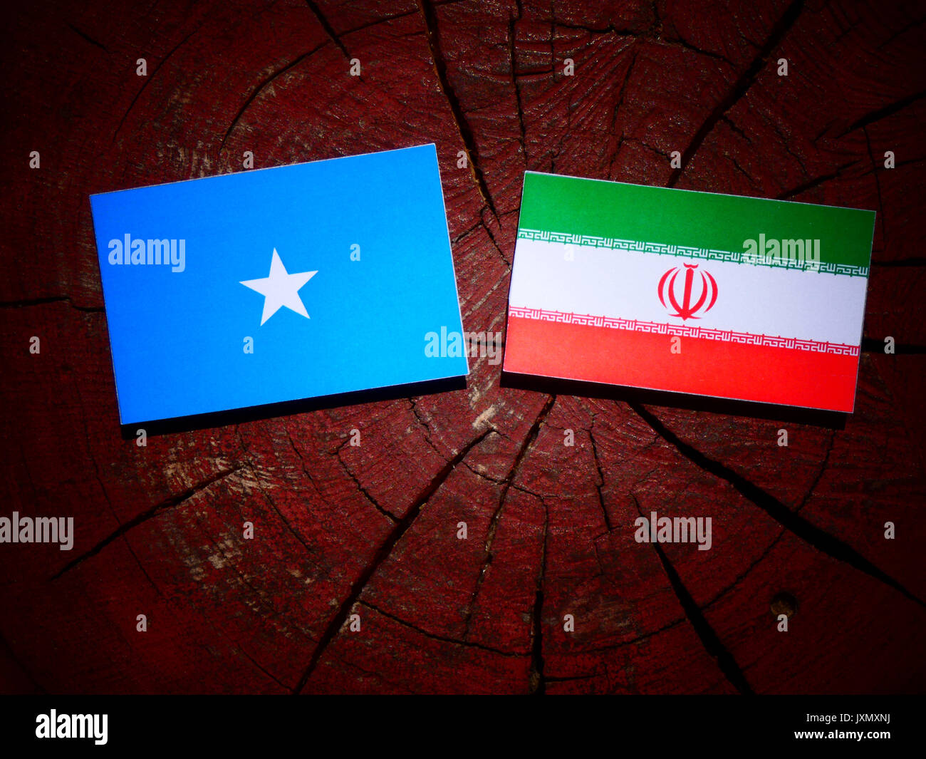 Bandiera somala con bandiera iraniana su un ceppo di albero isolato Foto Stock