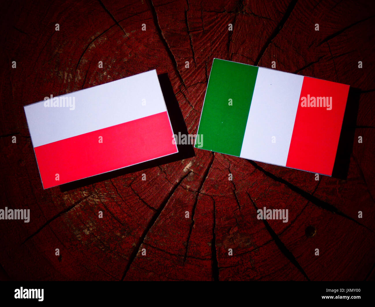 Bandiera polacca con bandiera italiana su un ceppo di albero isolato Foto Stock