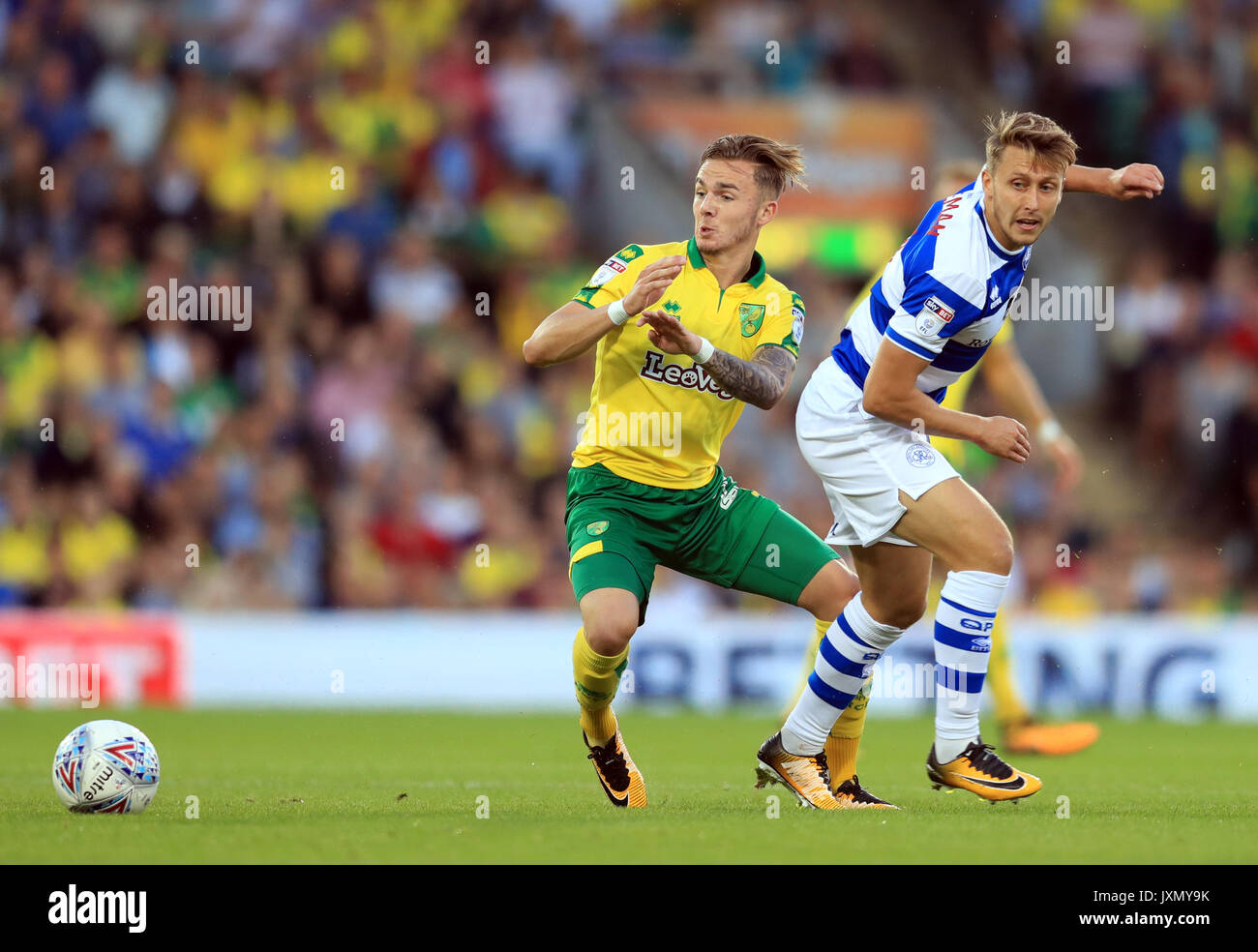 Norwich City James Maddison (sinistra) e Queens Park Rangers Luca Freeman (destra) battaglia per la sfera durante il cielo di scommessa match del campionato a Carrow Road, Norwich. Foto Stock