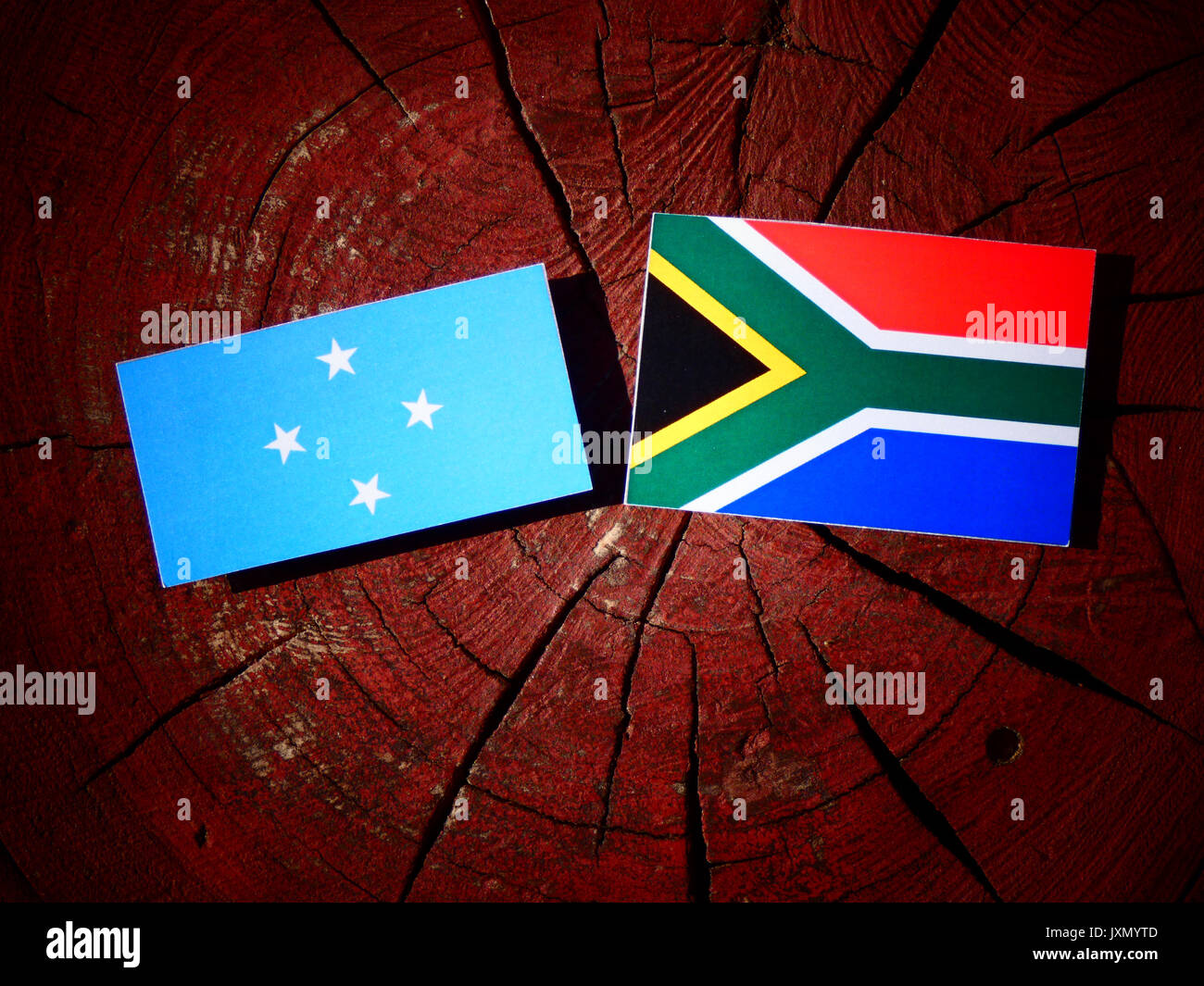 Bandiera della Micronesia con South African flag su un ceppo di albero isolato Foto Stock