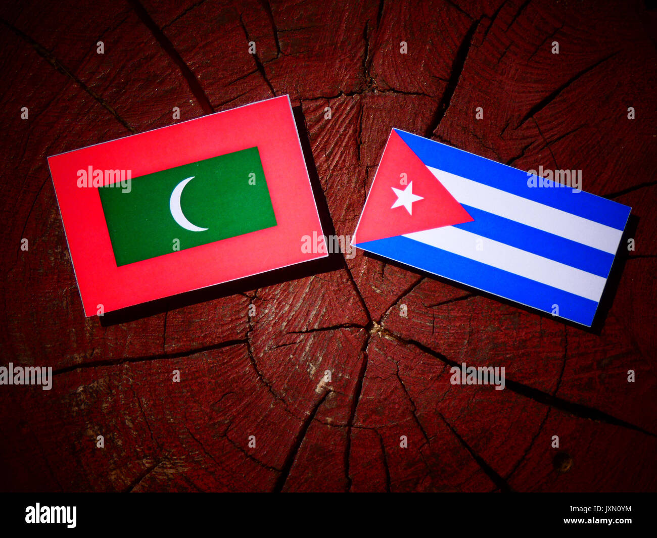 Maldive bandiera con bandiera cubana su un ceppo di albero isolato Foto Stock