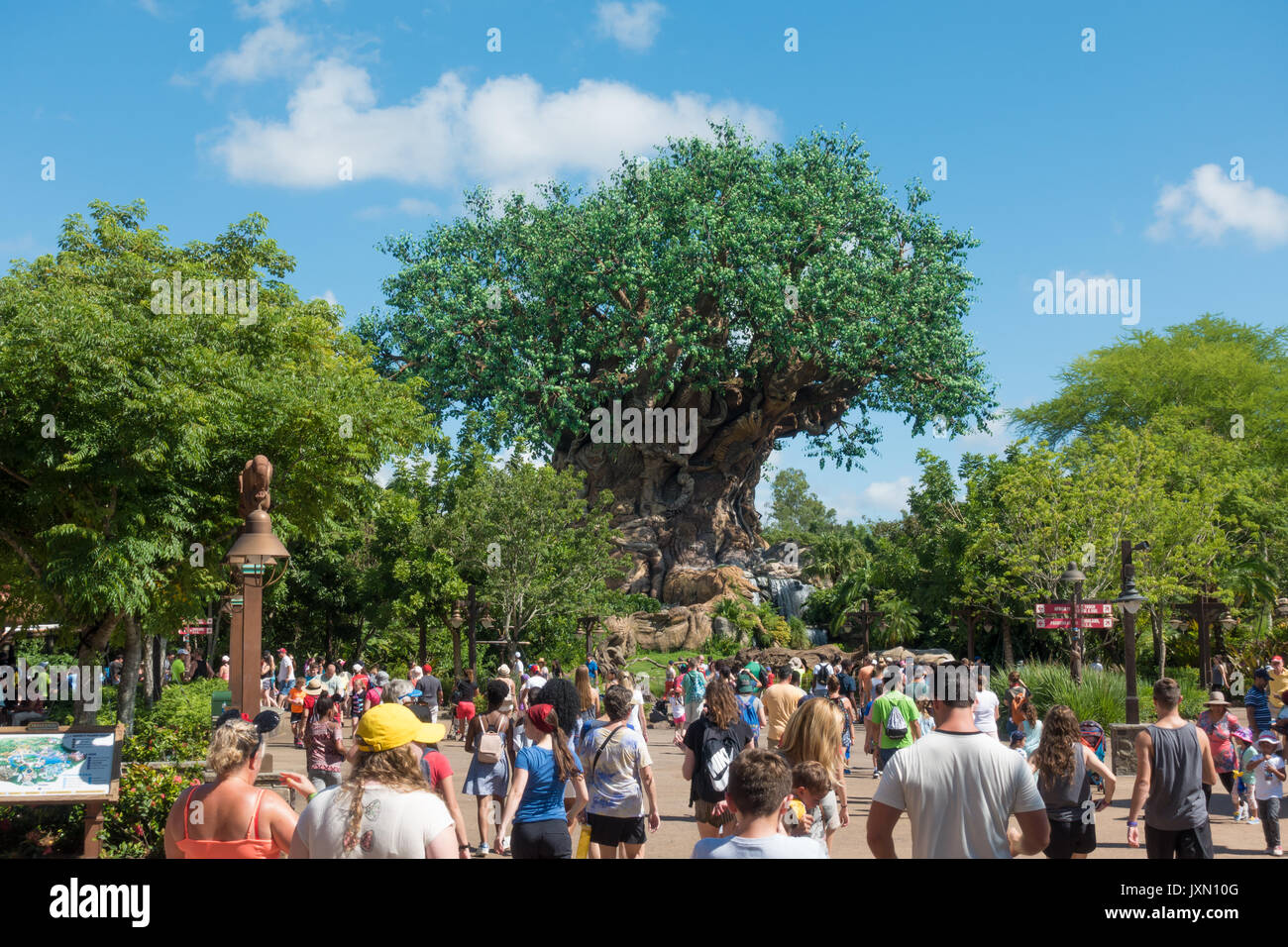 Albero della vita in Disneys Animal Kingdom Theme Park, Orlando, Florida. Foto Stock