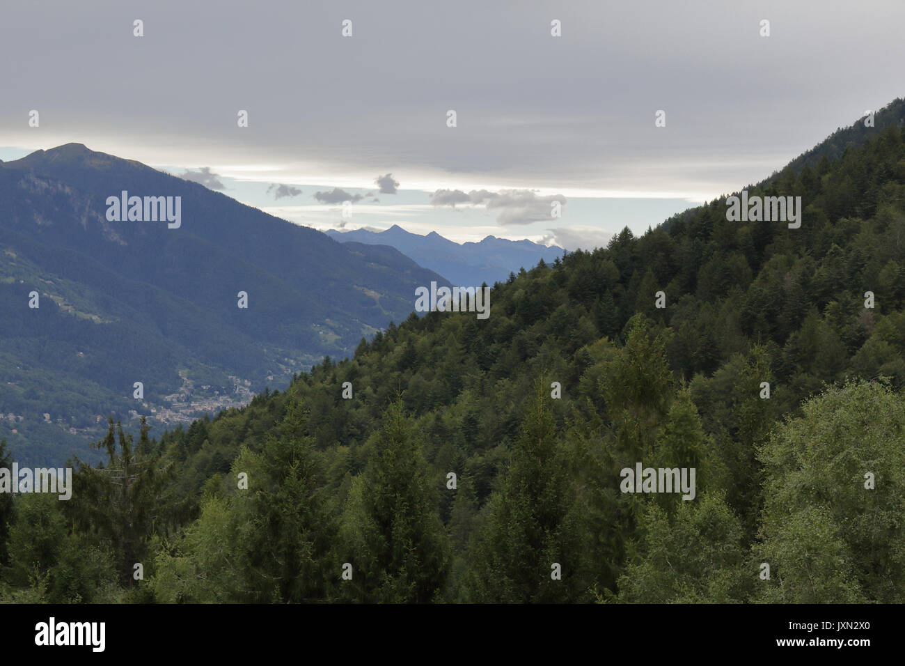 Un paesaggio di montagne verdi, con pini e abeti, rocce e ghiacciai, in Valle Vigezzo, Alpi italiane settentrionali Foto Stock