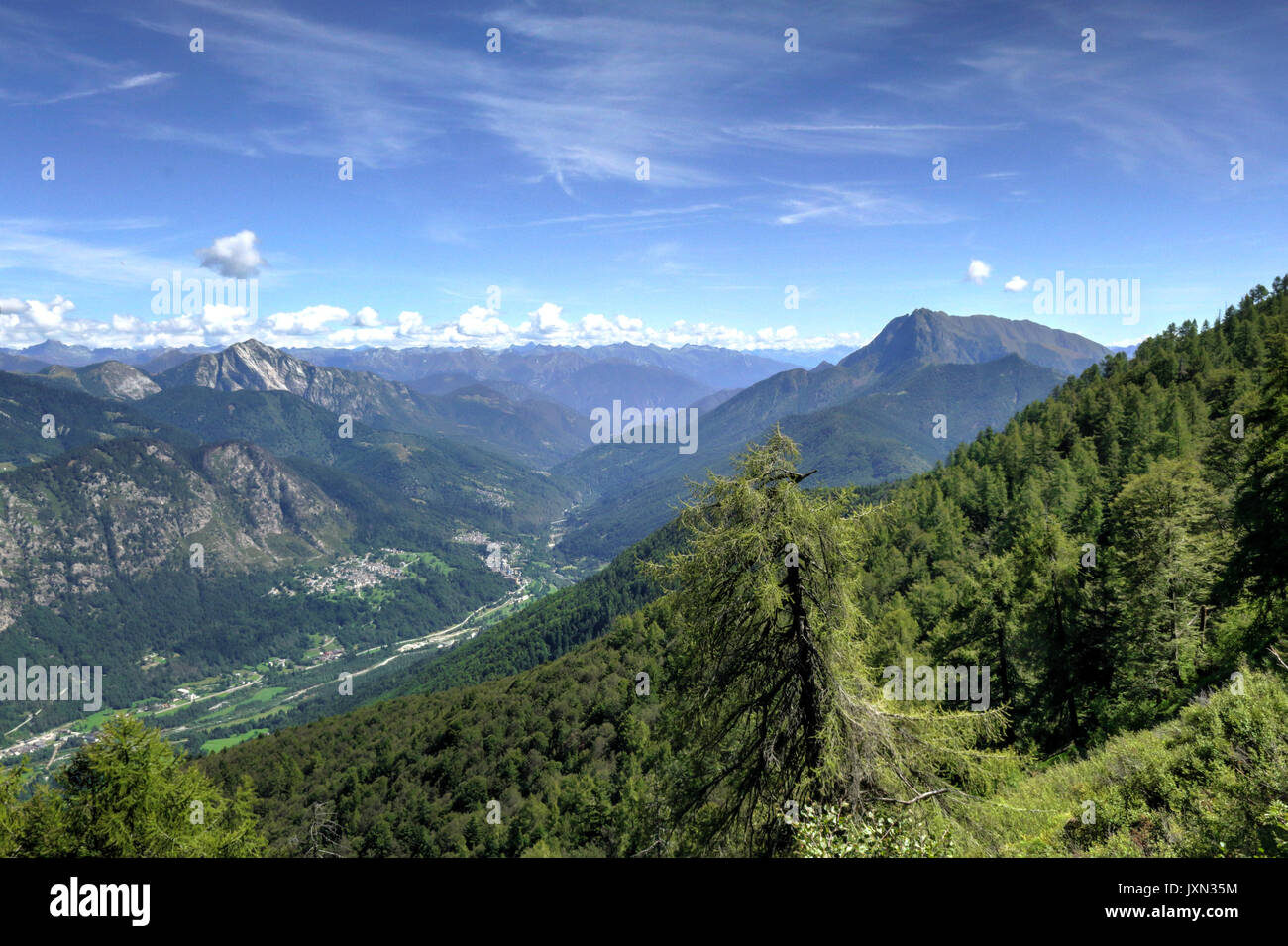 Un paesaggio di montagne verdi, con pini e abeti, rocce e ghiacciai, in Valle Vigezzo, Alpi italiane settentrionali Foto Stock