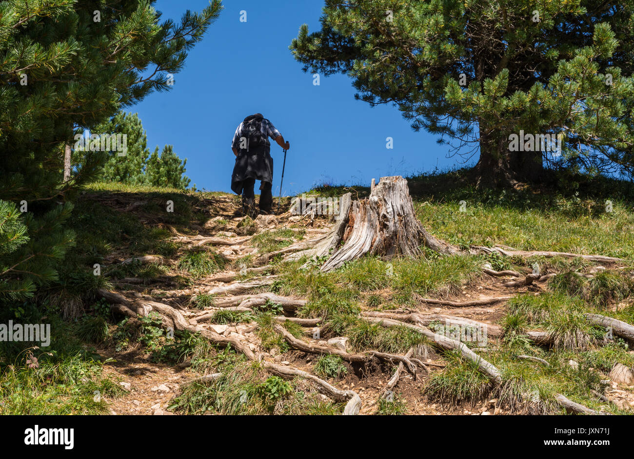 I viaggiatori trekking a basso picco di picco del bianco in montagna Dolomiti, Alto Adige, Italia settentrionale Foto Stock