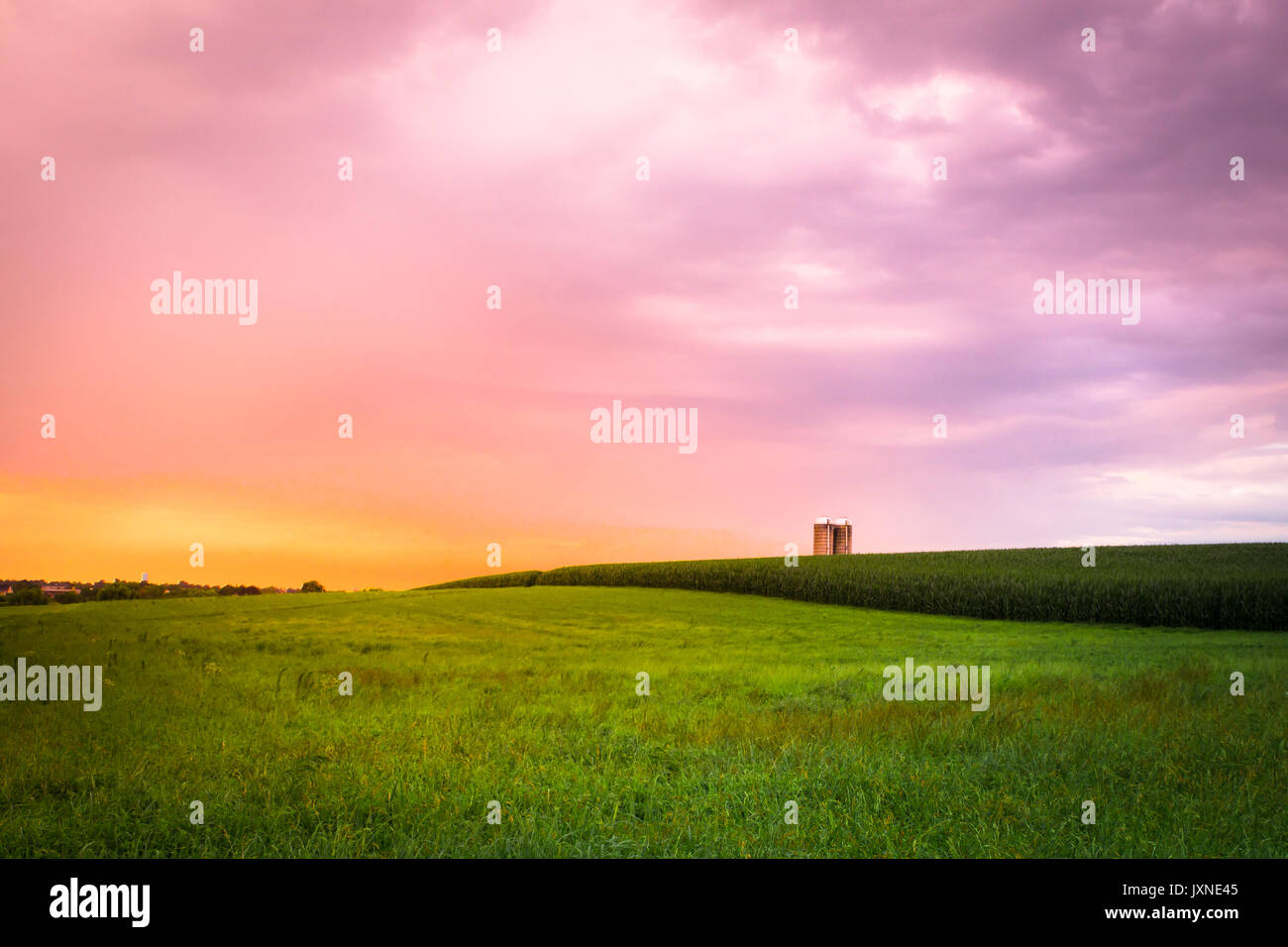 Bellissimo agriturismo campo con erba, silo e il mais al tramonto, Amish country, Lancaster Pennsylvania Foto Stock